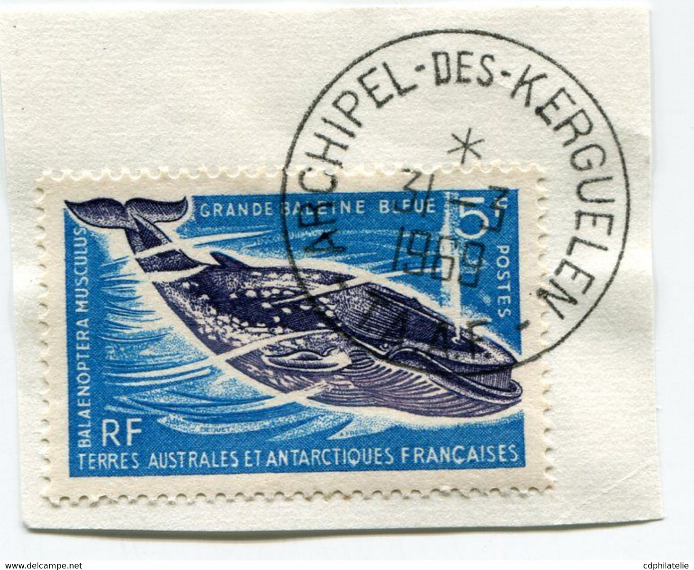 T. A. A. F. N°22 GRANDE BALEINE BLEUE OBL. ARCHIPEL-DES-KERGUELEN 31-3-1969 - Used Stamps