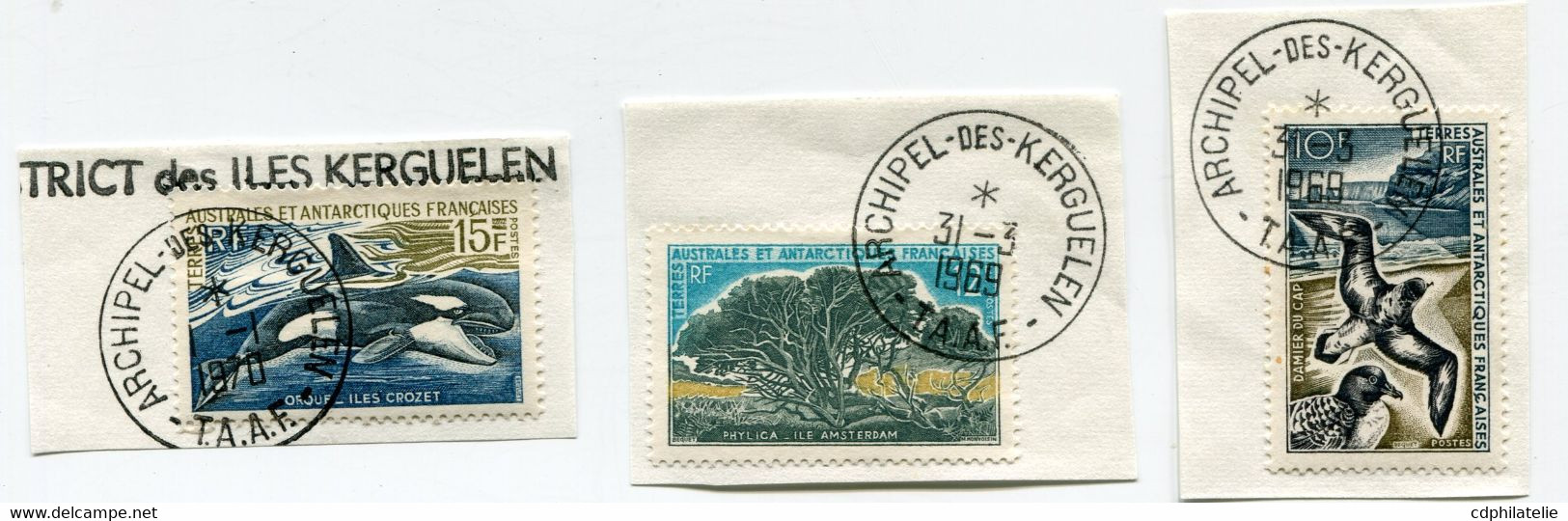 T. A. A. F. N°28 / 30 FAUNE ET FLORE OBL. ARCHIPEL-DES-KERGUELEN 31-3-1969 ET 1-1-1970 - Used Stamps