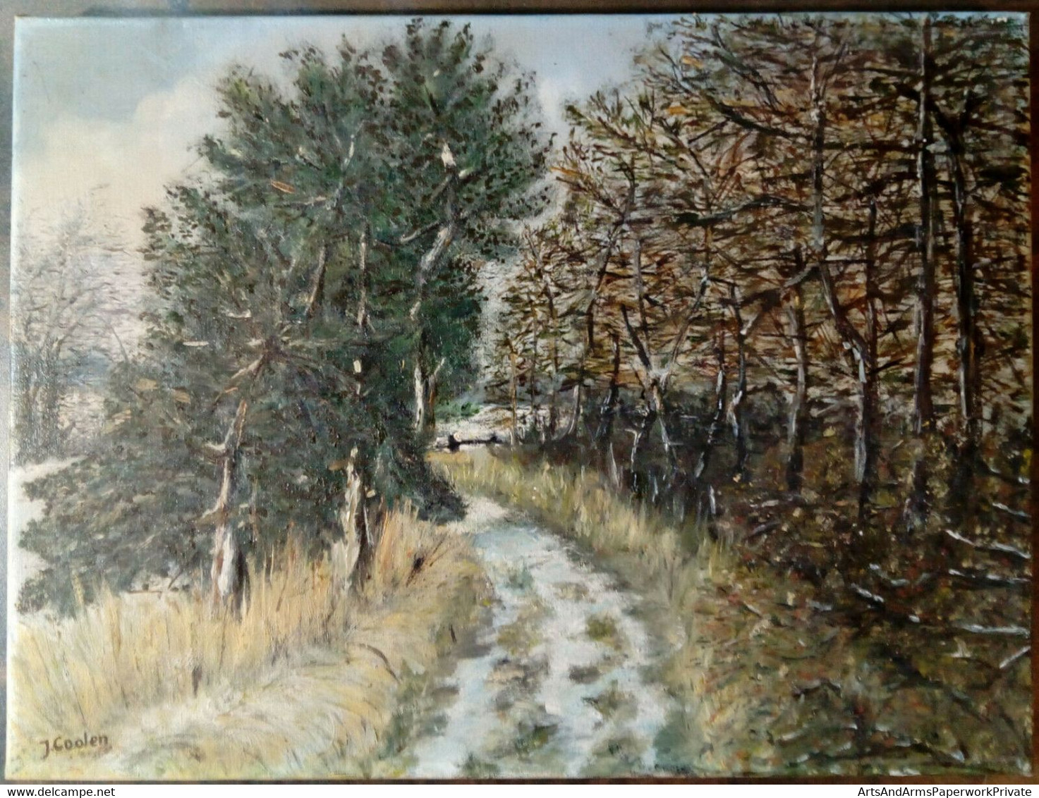 Paysage : Bruyère, Arbres, Neige Ou Sable Blanc/ Landscape: Heath, Trees, Snow Or White Sand - Olii