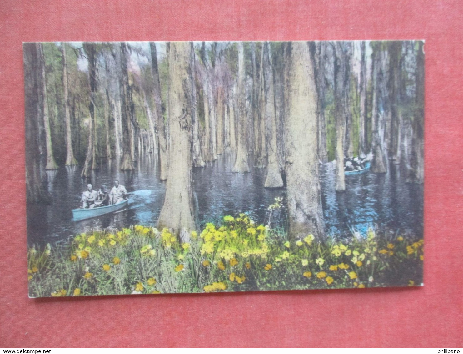 Hand Colored Cypress Gardens     Charleston South Carolina > Charleston      Ref 5182 - Charleston