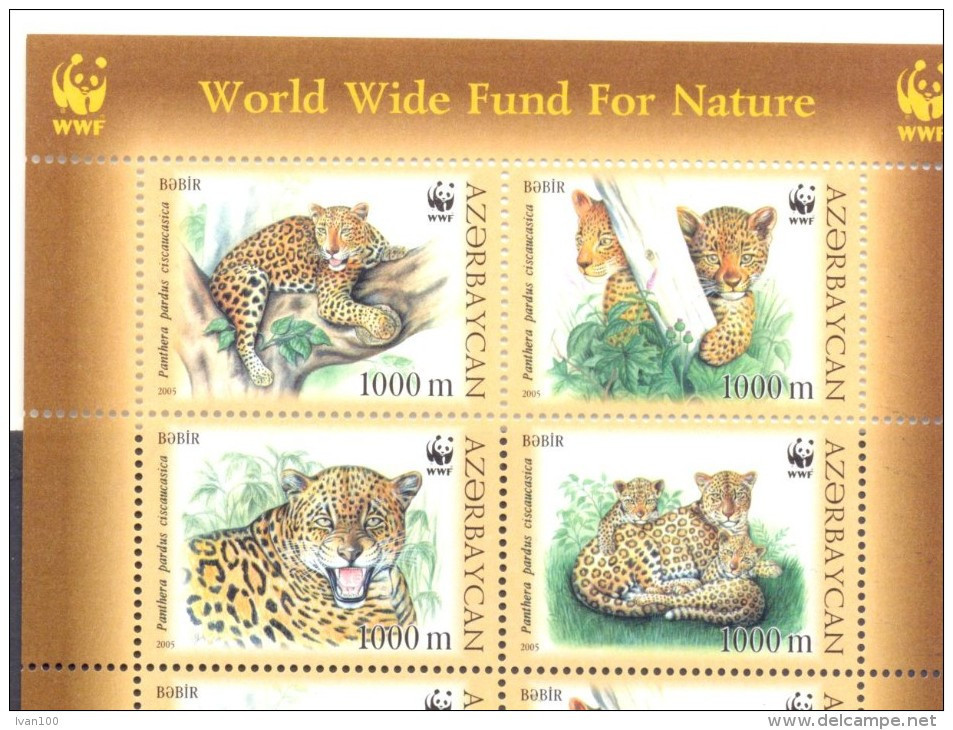 2005. Azerbaijan,  WWF, Leopard, 4v, Mint/** - Azerbaïdjan