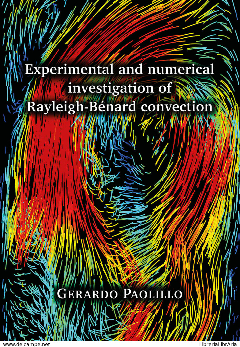 Experimental And Numerical Investigation-  Gerardo Paolillo,  2019, - Medicina, Biología, Química