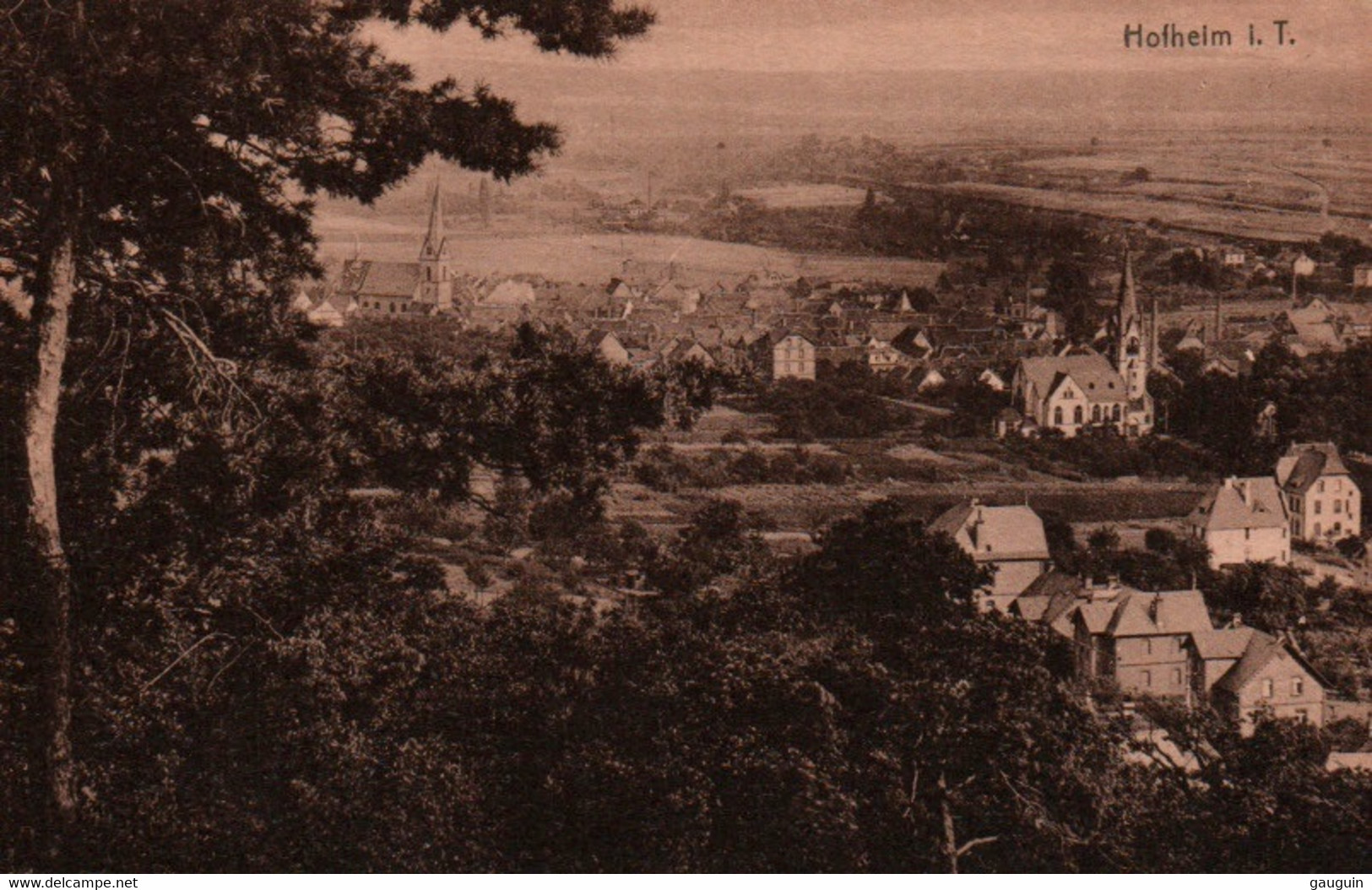 CPA - HOFHEIM I. TAUNUS - Vue Gale ... Lot 3 CP à Saisir - Hofheim