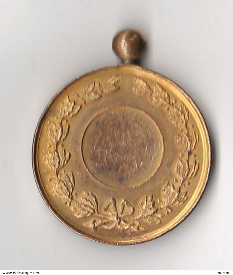 Médaille Léopold II – De Vreugdegalm In Huldiging Van Het Vaandel 1898 , 48 Mm Bronze Doré - Autres & Non Classés