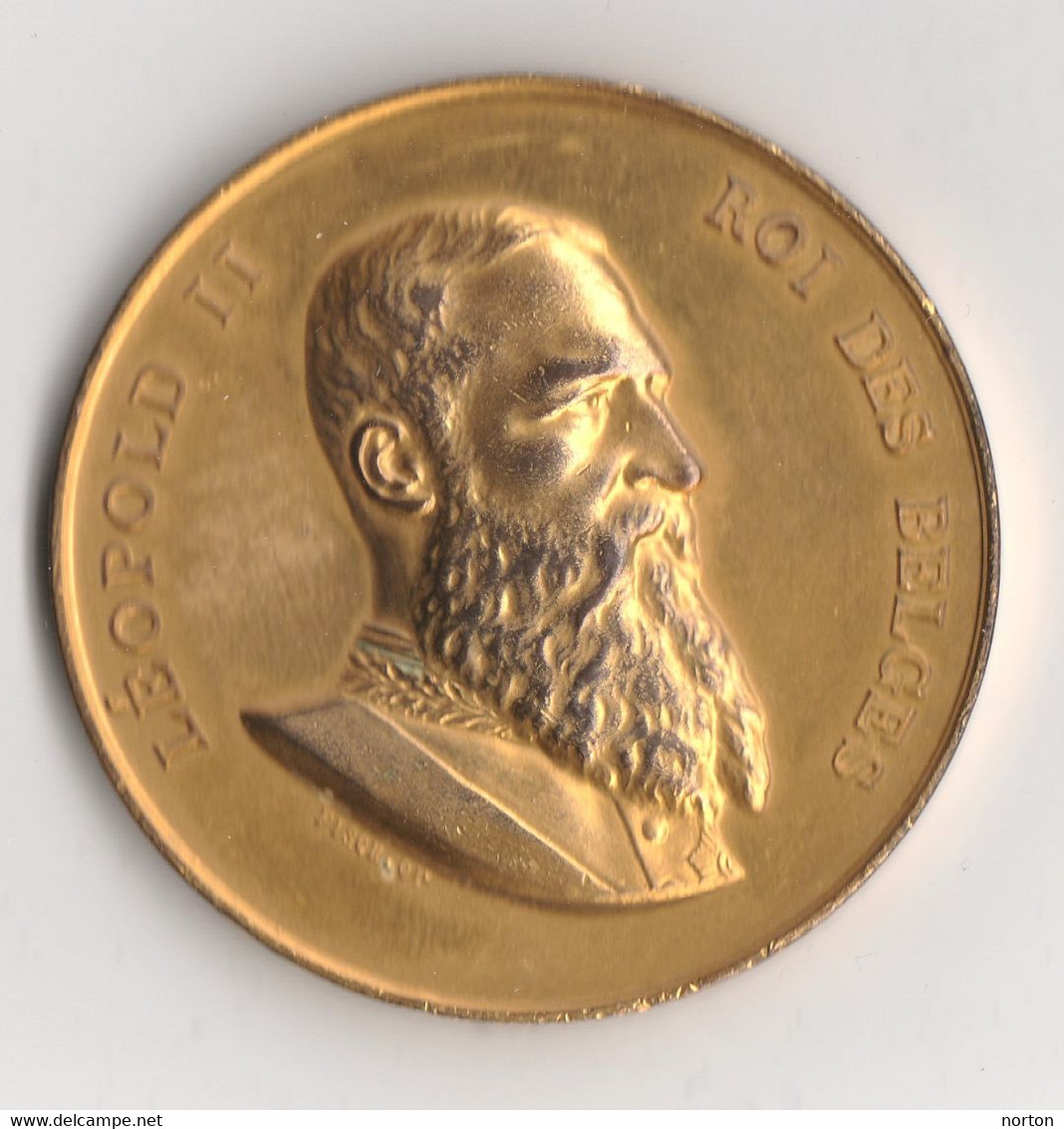 Médaille Léopold II – Bruxelles Concours D'hygiène 1896 Par J. Fisch & Cie, 55 Mm, Bronze Doré - Autres & Non Classés