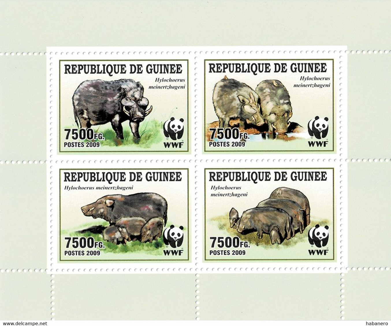 GUINEA 2009 Mi 6714-6717 WWF WILD BOAR MINT MINATURE SHEET ** - Guinea (1958-...)