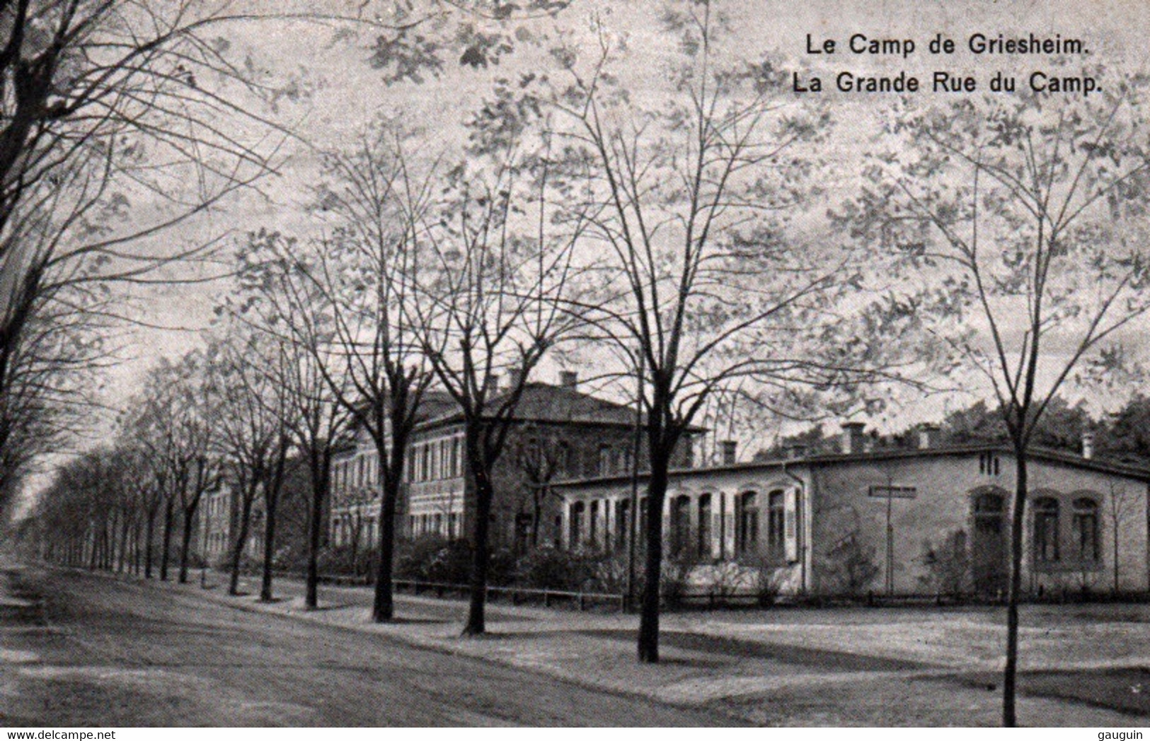CPA - GRIESHEIM - La Grande Rue Du Camp  ... - Griesheim