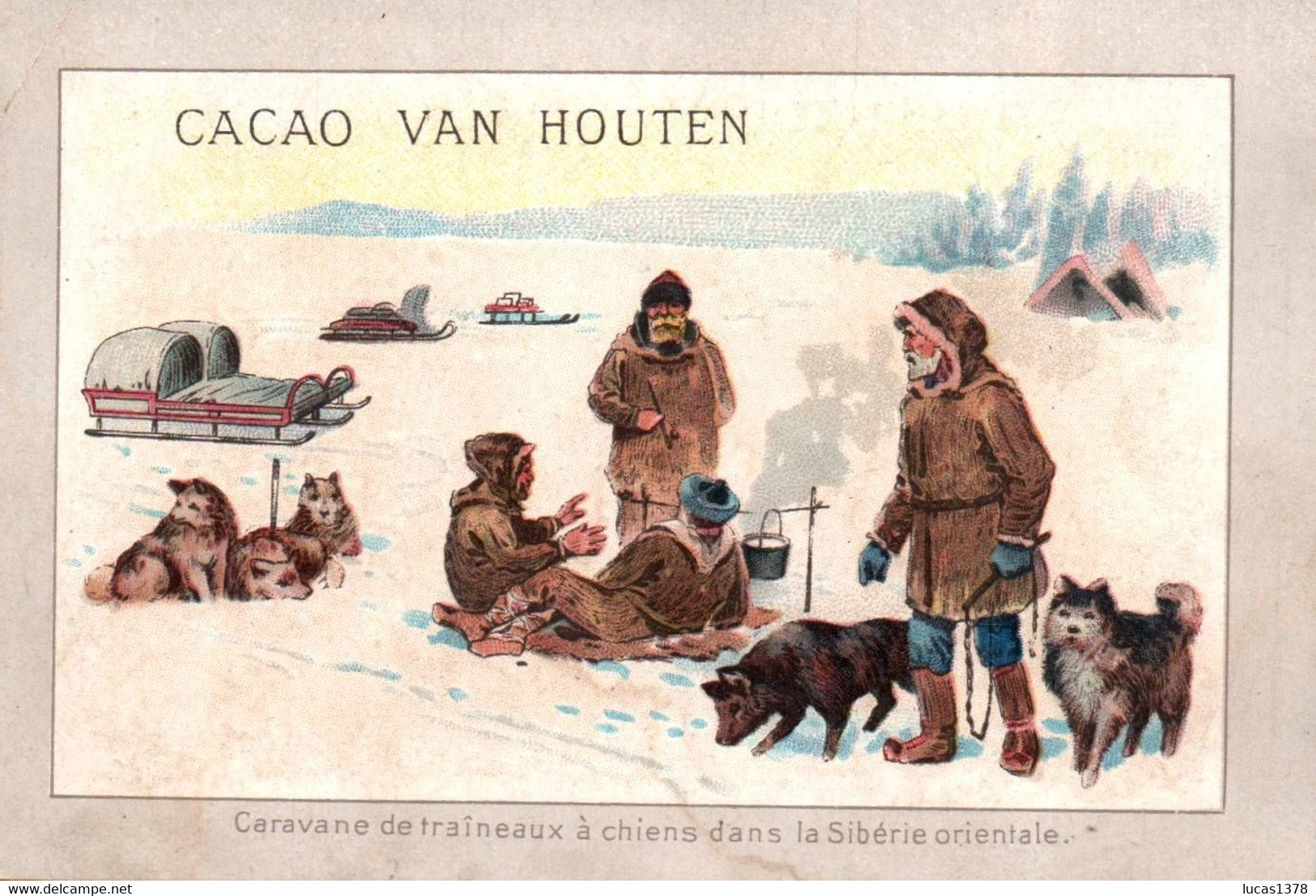 CACAO VAN HOUTEN CARAVANE DE TRAINEAUX A CHIENS DANS LA SIBERIE - Van Houten