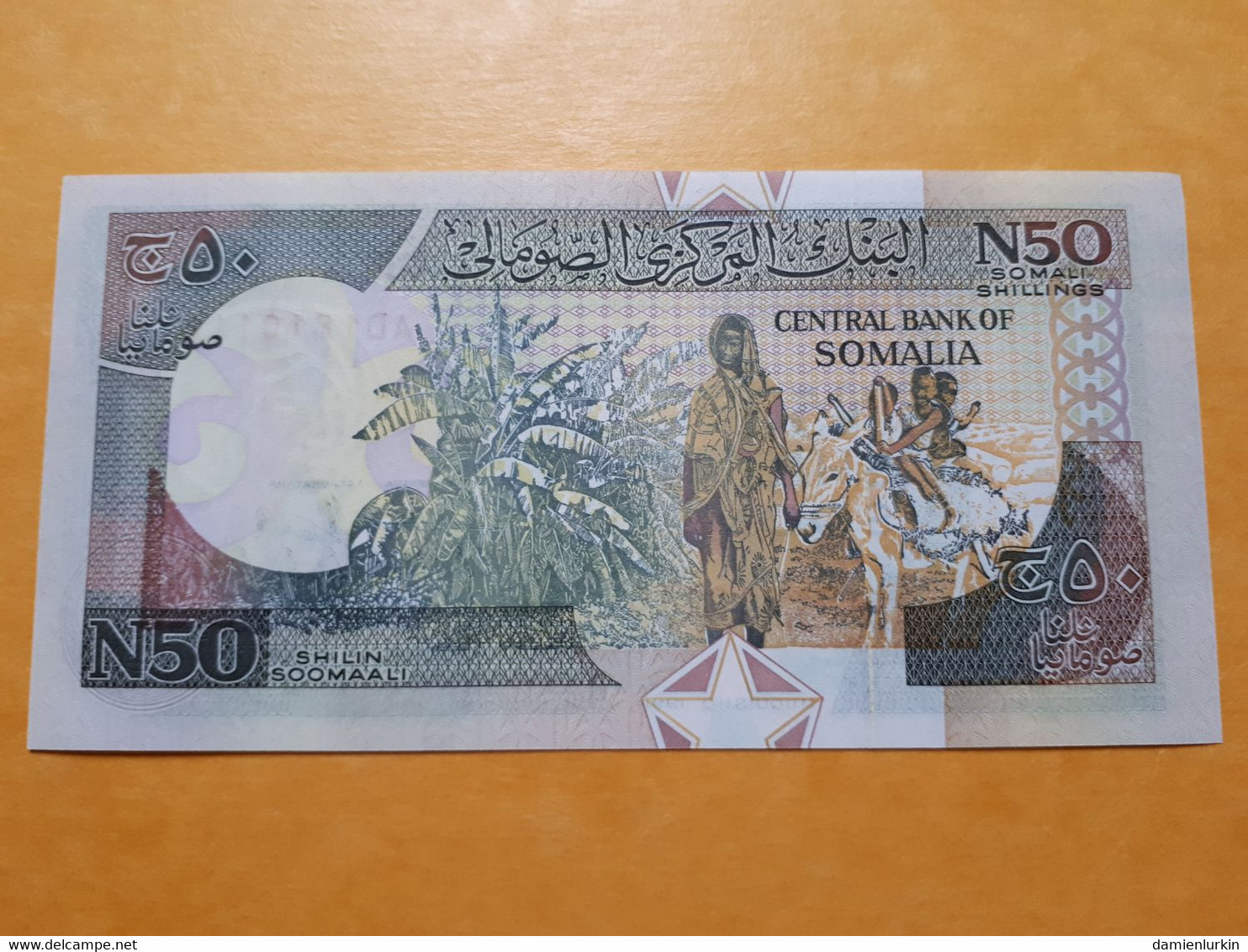 SOMALIE 50N SHILLINGS 1991 UNC - Somalie