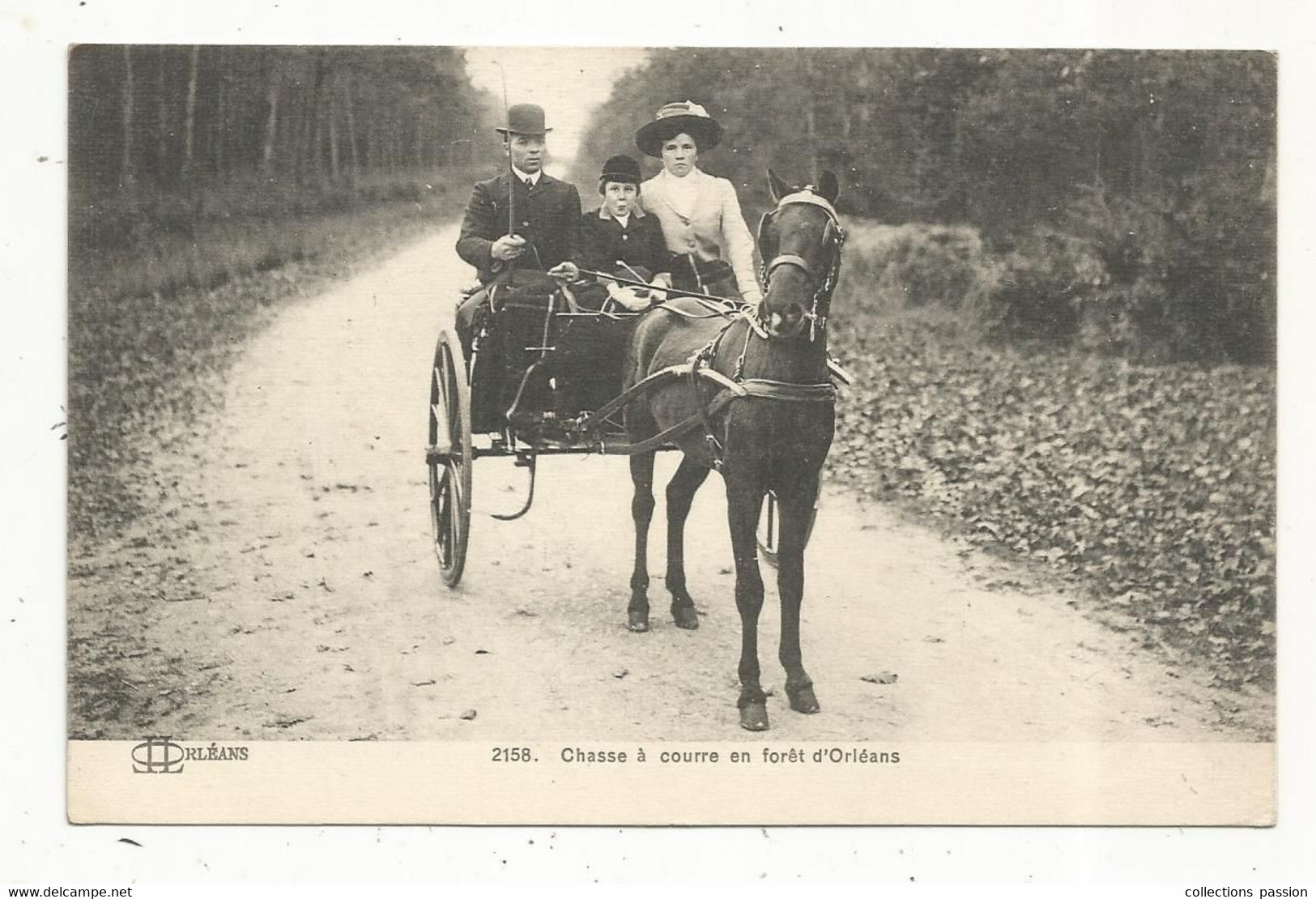 Cp, Sports , Chasse à Courre  En Forêt D'ORLEANS ,45, Voyagée 1914 , Attelage - Hunting