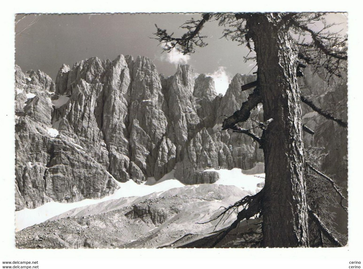 BELLUNO  DINTORNI:  DOLOMITI  -  LE  TRE  SORELLE  -  FOTO  -  FG - Climbing