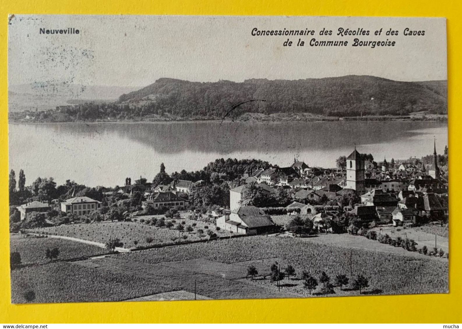 15386 - Neuveville Avis De Passage E.Leuba  Vins En Gros  Concessionnaire De Récoltes Et Des Caves De La Commune - La Neuveville