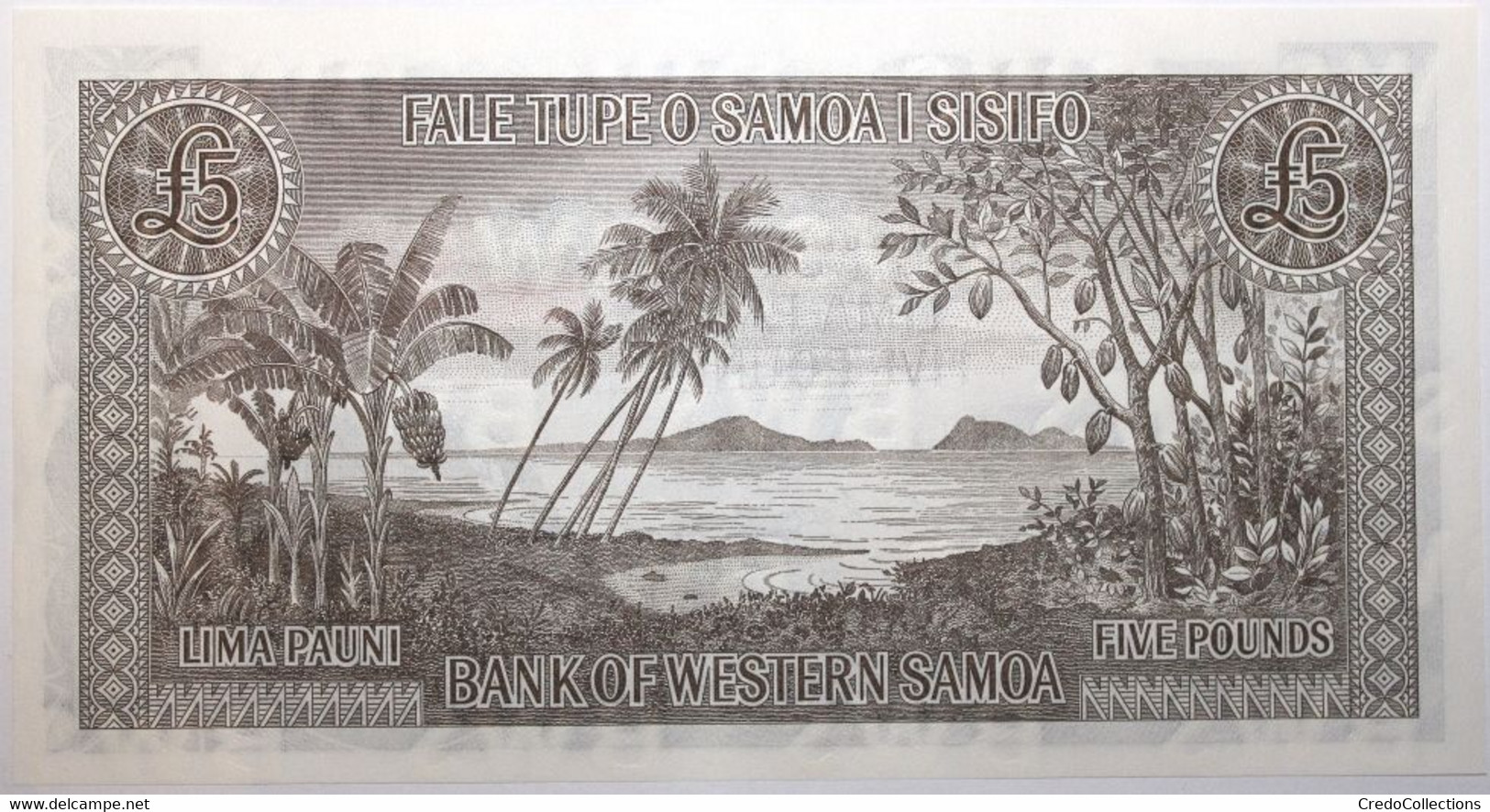 Samoa - 5 Pounds - 2020 - PICK 15Cs - NEUF - Samoa