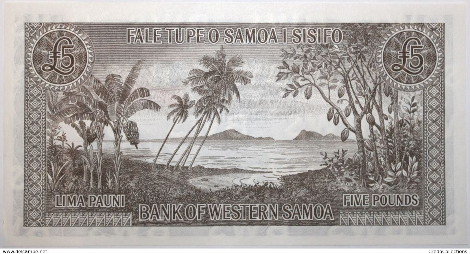 Samoa - 5 Pounds - 2020 - PICK 15Cs - NEUF - Samoa