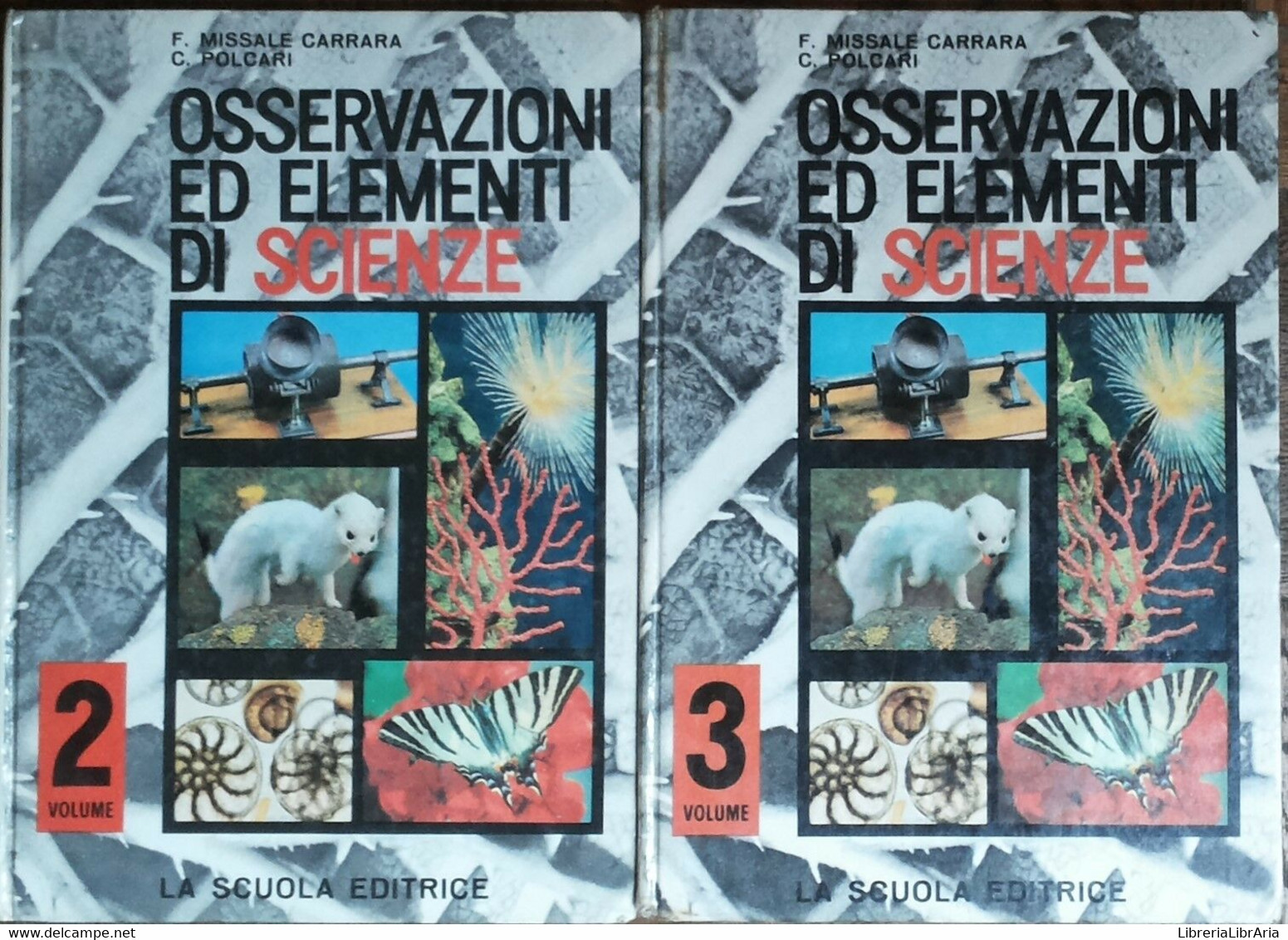 Osservazioni Ed Elementi Di Scienze Vol.2 E 3 -AA.VV.- La Scuola Editrice - R - Medicina, Biologia, Chimica