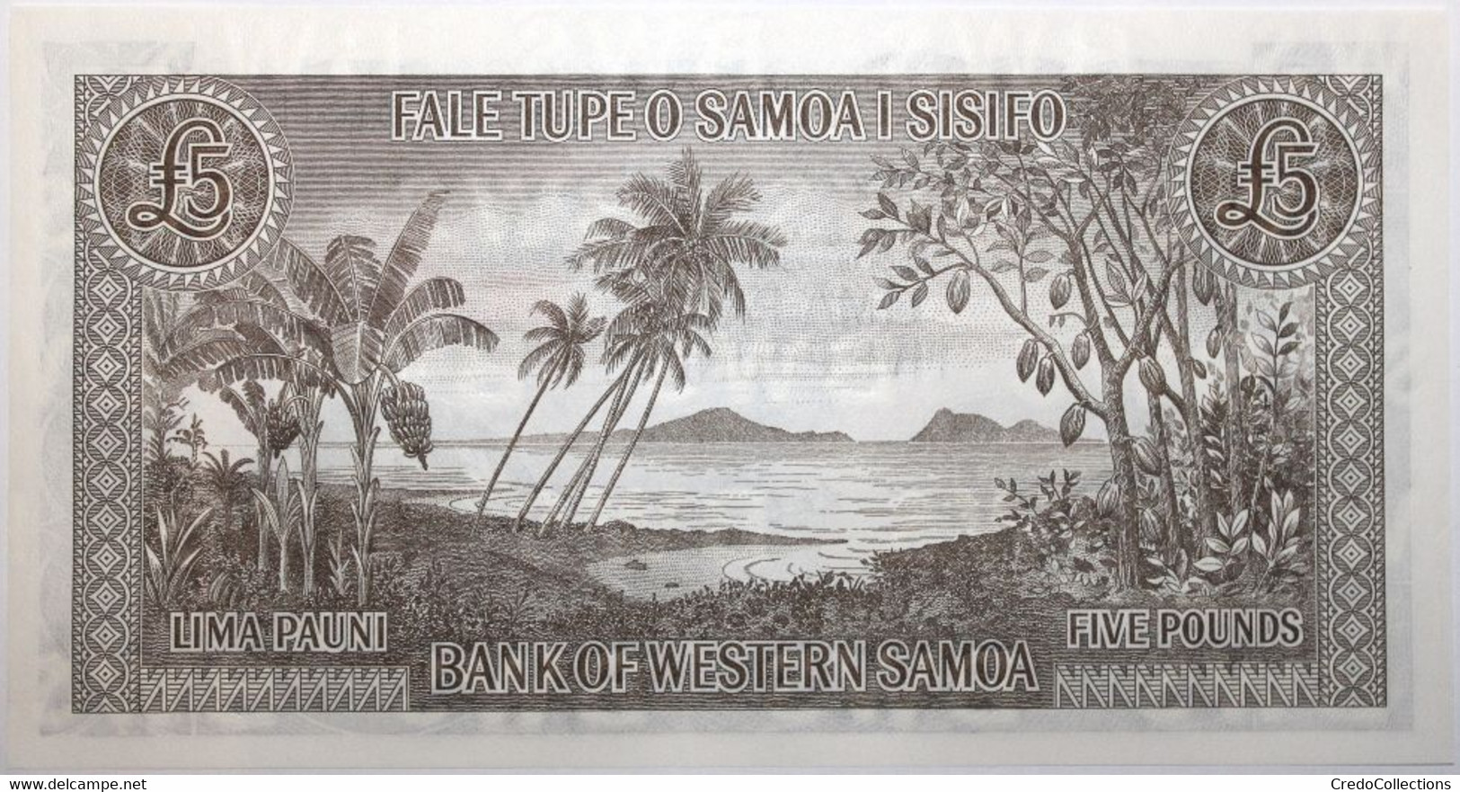 Samoa - 5 Pounds - 2020 - PICK 15Cs - NEUF - Samoa