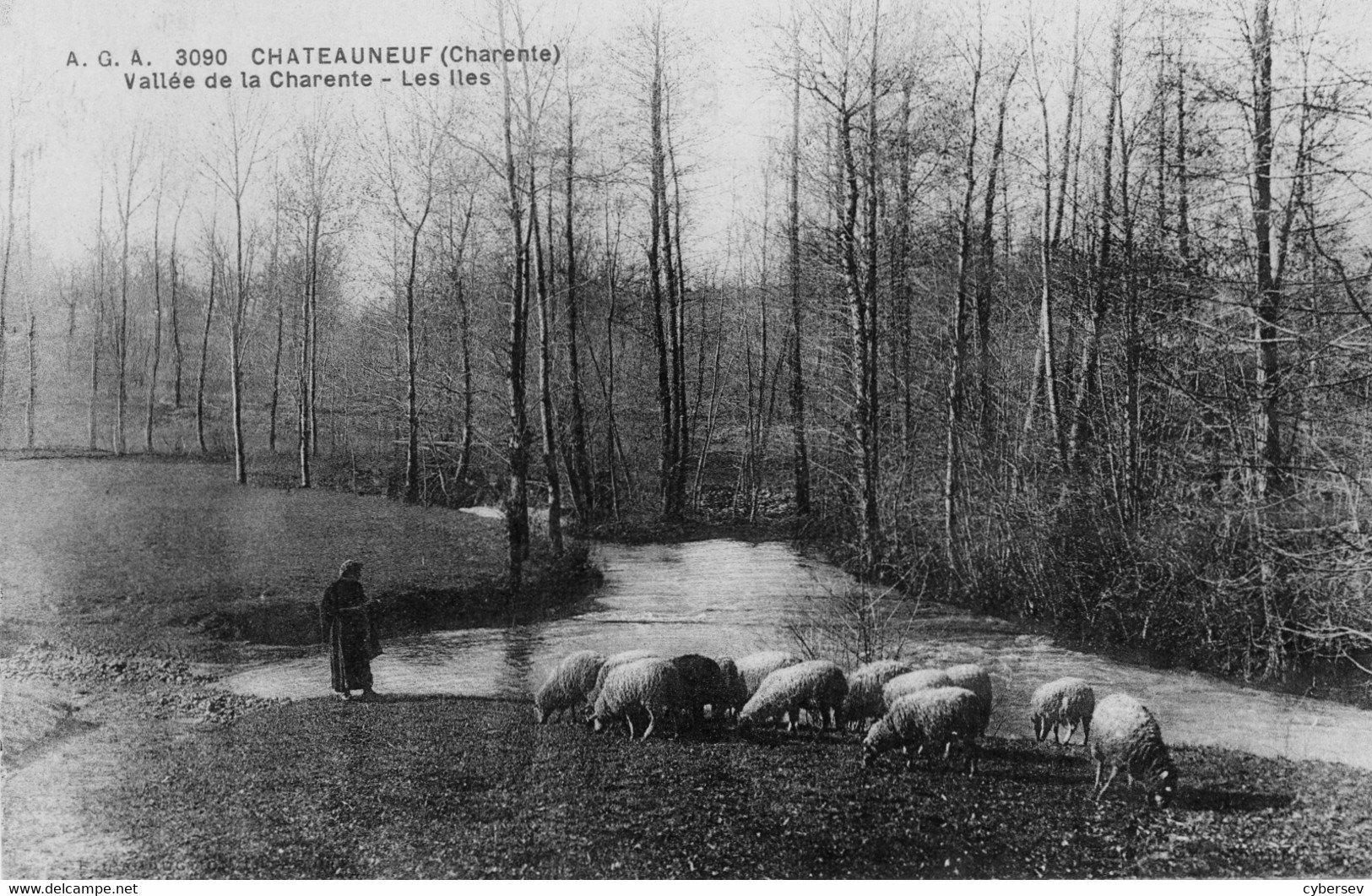 CHATEAUNEUF - Vallée De La Charente - Les Iles - Bergère Et Ses Moutons - Chateauneuf Sur Charente