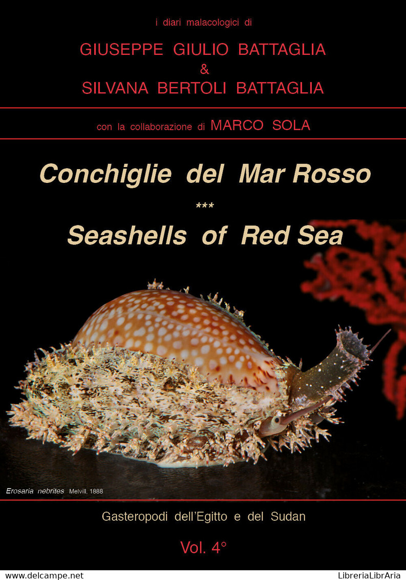 Conchiglie Del Mar Rosso-Red Sea’s Seashelles. Ediz. Bilingue Di Giuseppe Giulio - Nature