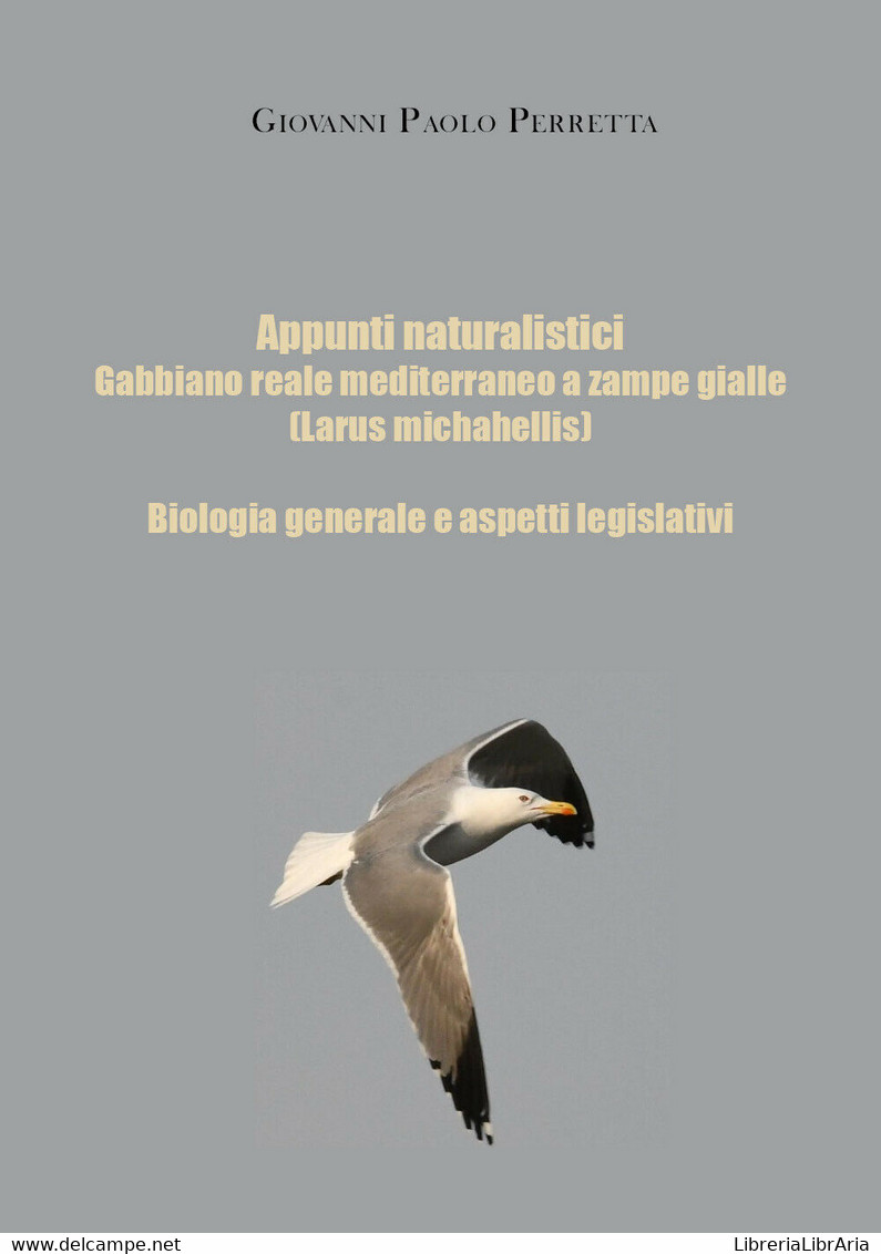 Appunti Naturalistici. Gabbiano Reale Mediterraneo A Zampe Gialle (Larus Michahe - Natur