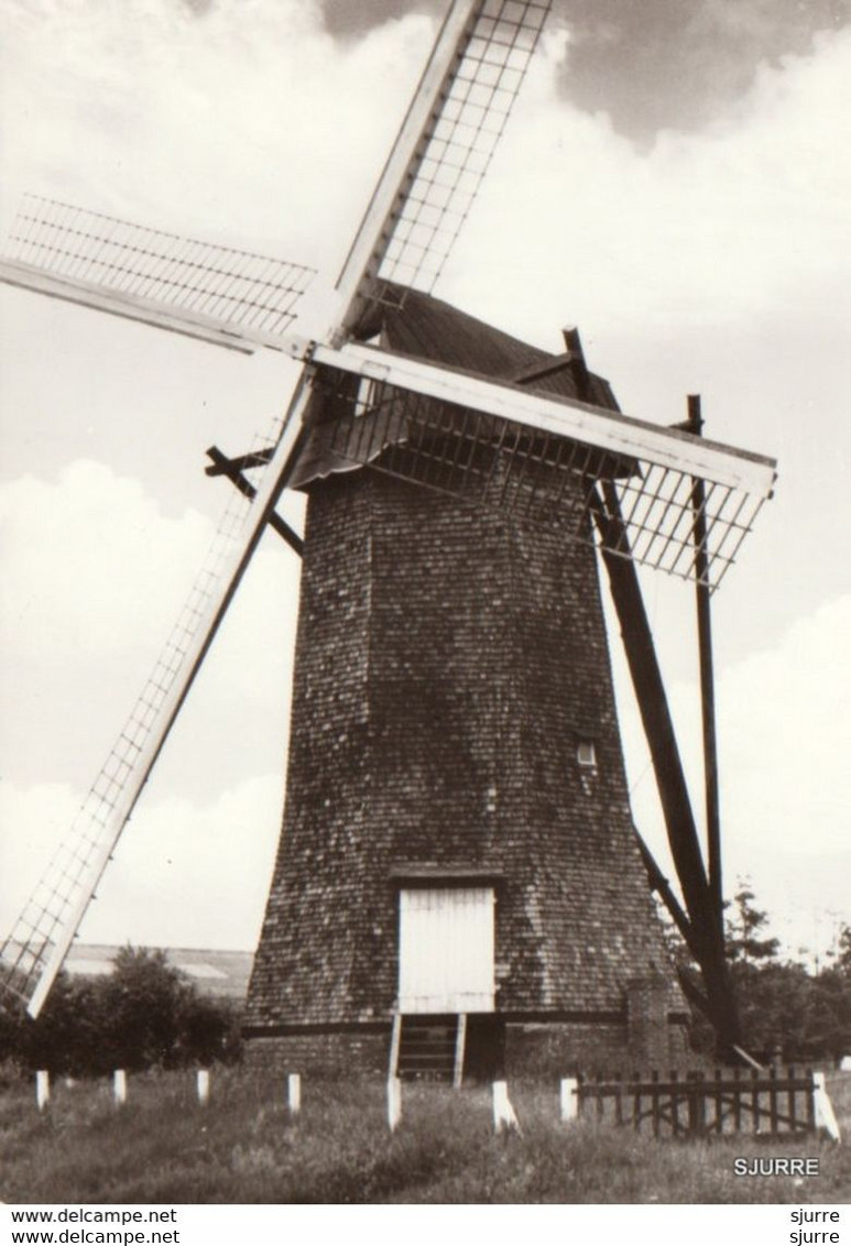 Arendonk - Molen STEENDONKER - Anno 1770 - Arendonk