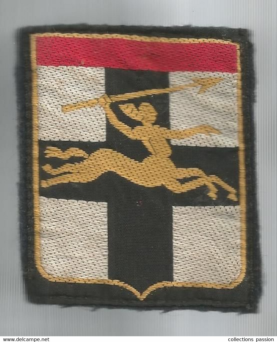 écusson Tissu , Militaria , Armée De Terre ,DIVISION LEGERE BLINDEE , Centaure , Lance, 2 Scans - Ecussons Tissu