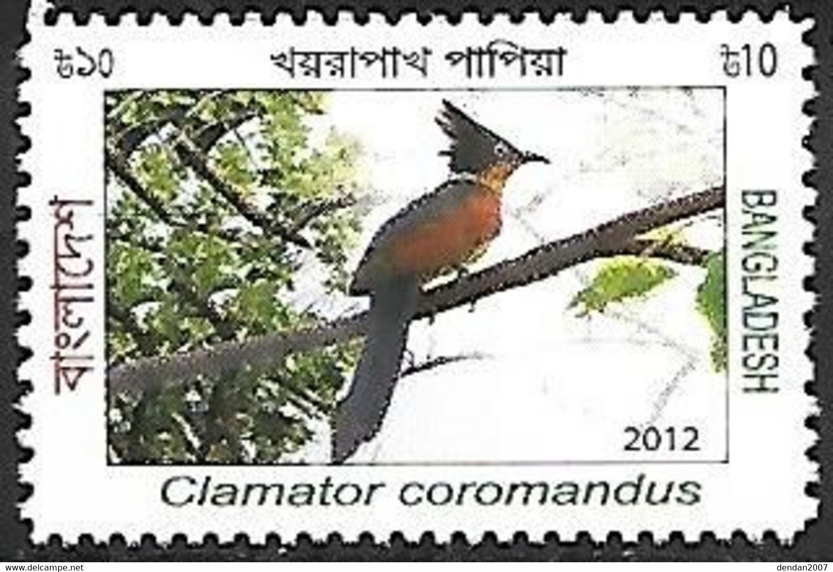 Bangladesh - MNH ** 2012 :    Chestnut-winged Cuckoo -  Clamator Coromandus - Cuckoos & Turacos