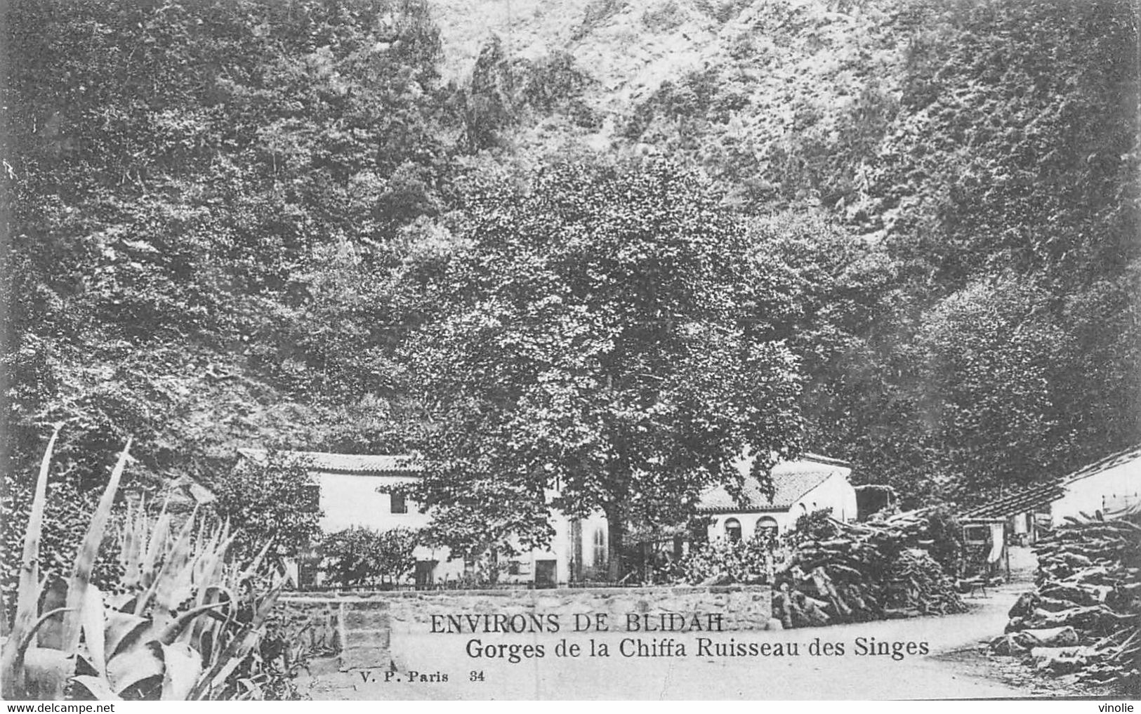 21-P-PLT.3414 : GORGES DE LA CHIFFA - Andere & Zonder Classificatie