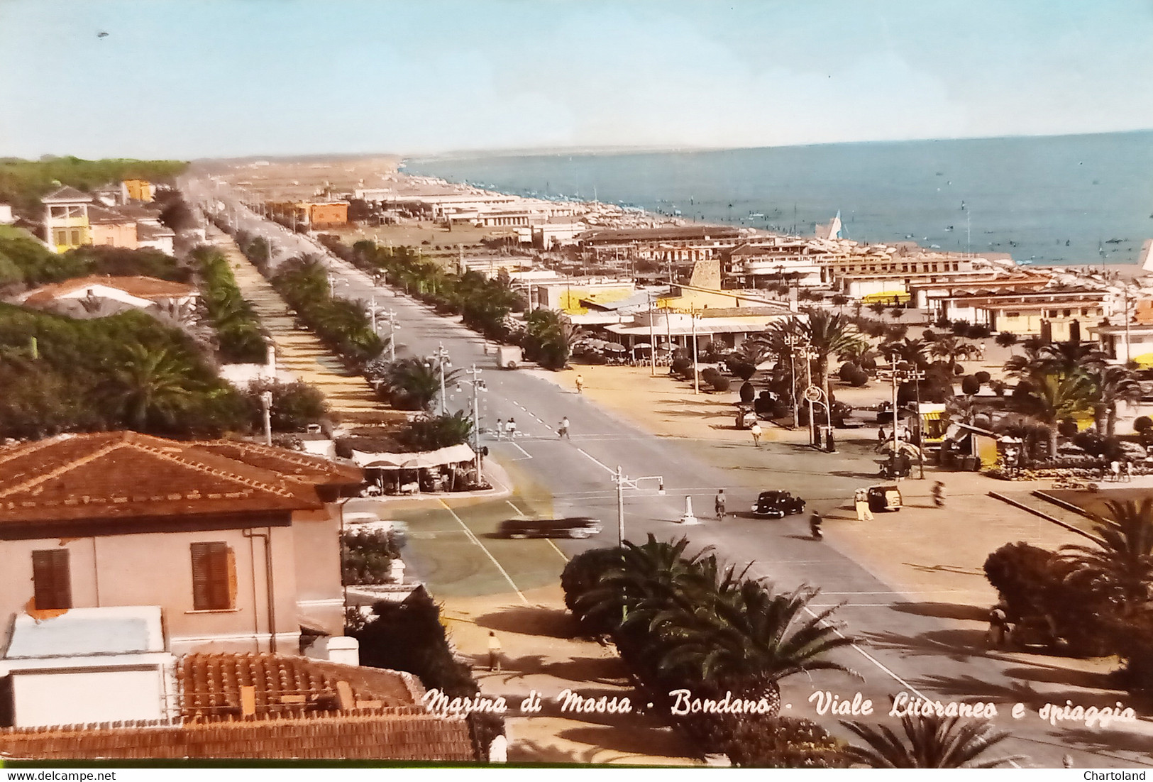 Cartolina - Marina Di Massa - Bondano - Viale Litoraneo E Spiaggia - 1964 - Massa