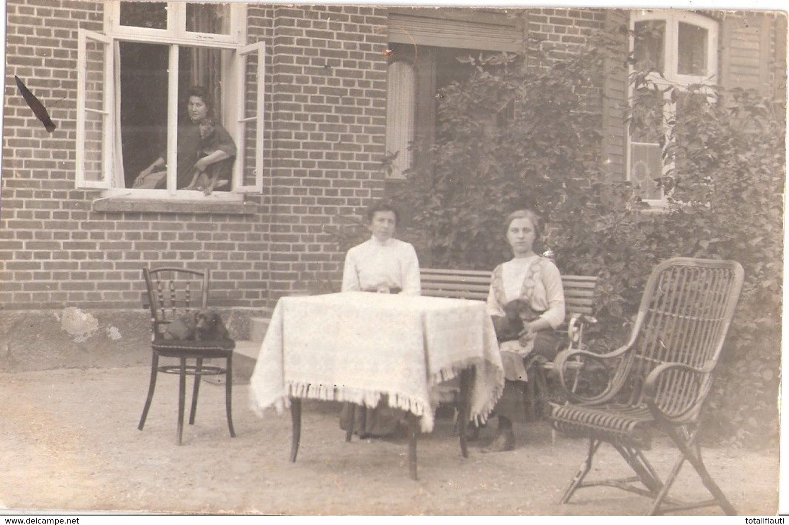 SCHWANBECK Bei Dassow Familie Vor Dem Haus Dame Rechts Mit Dackel Auf Dem Schoß 16.7.1912 Original Private Fotokarte - Boltenhagen