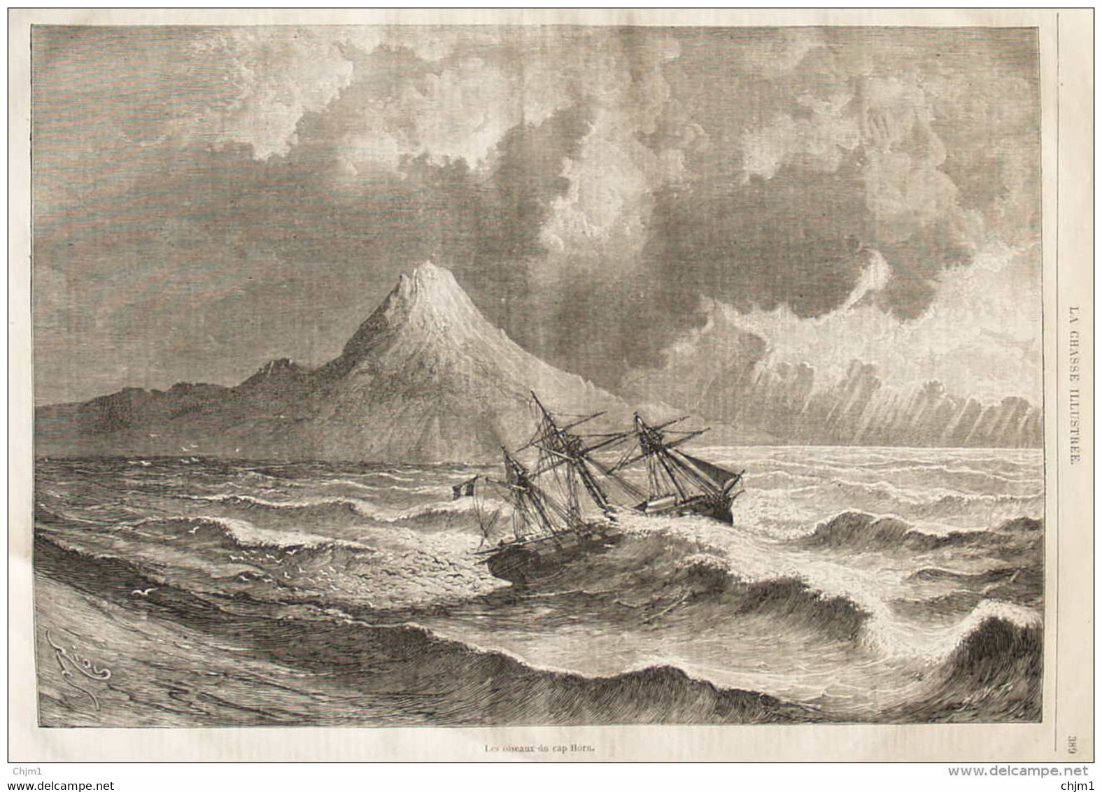 Les Oiseaux Du Cap Horn - Page Original 1873 - 2 - Historical Documents