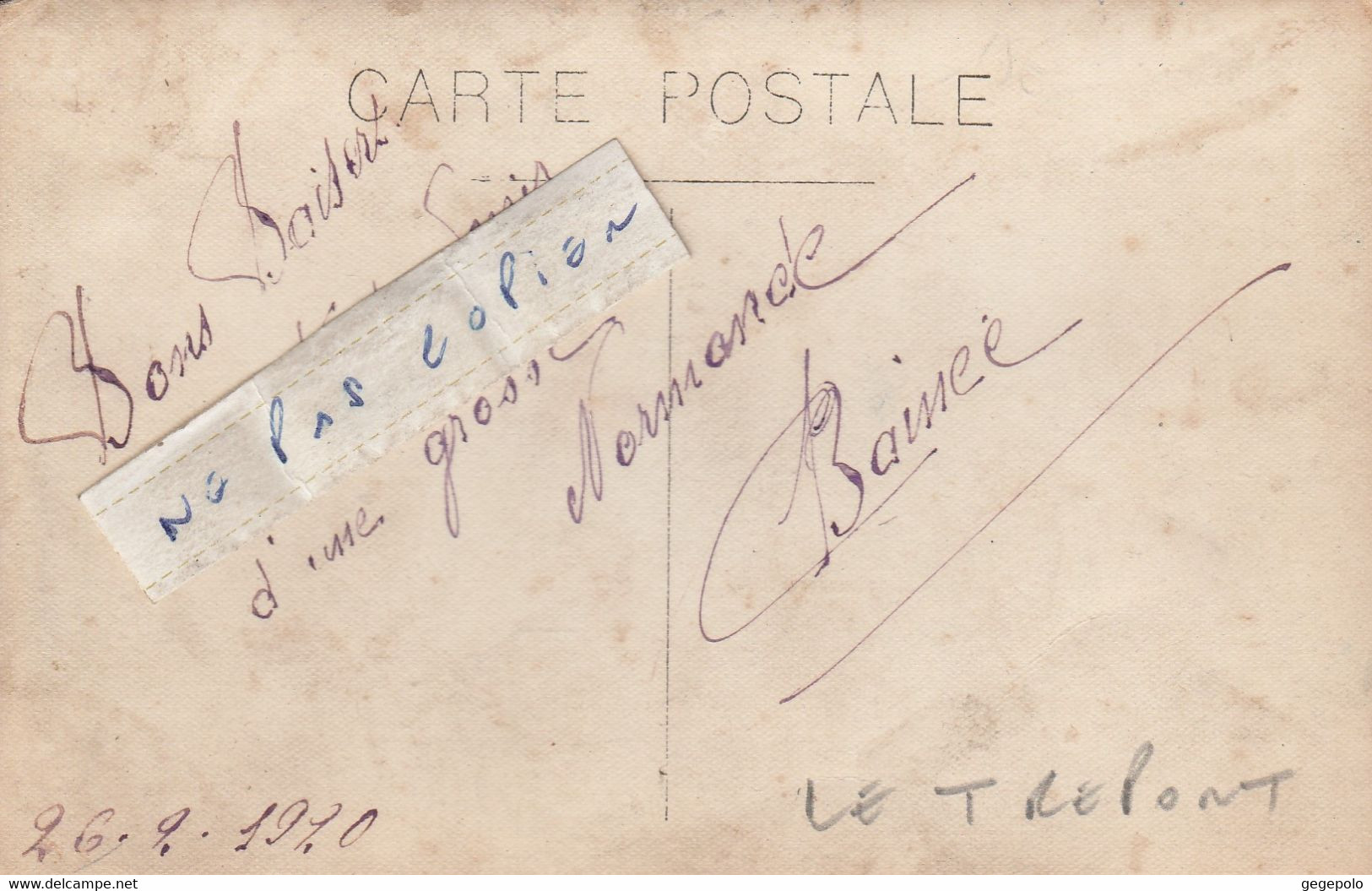 LE TREPORT  -  " Souvenir D'une Grosse Normande " - Bel Attelage  ( Carte Photo ) - Le Treport
