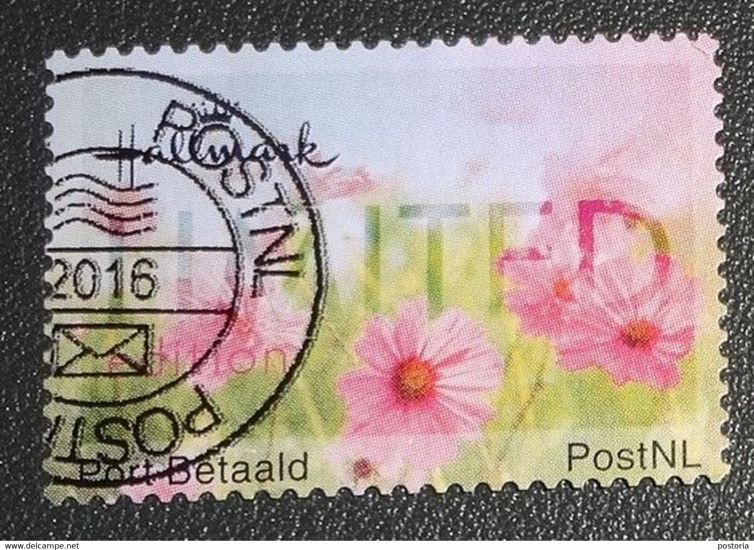 Nederland - NVPH - Persoonlijke - Gebruikt - Port Betaald - Hallmark - Limited - Bloemetjes - Timbres Personnalisés