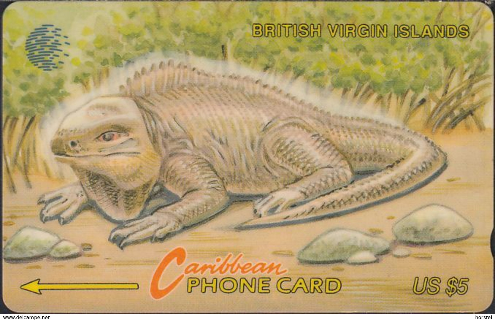 British Virgin Islands - BVI-19A - Wildlife - Iguana - E.T. - 19CBVA US$5 - Antilles (Other)