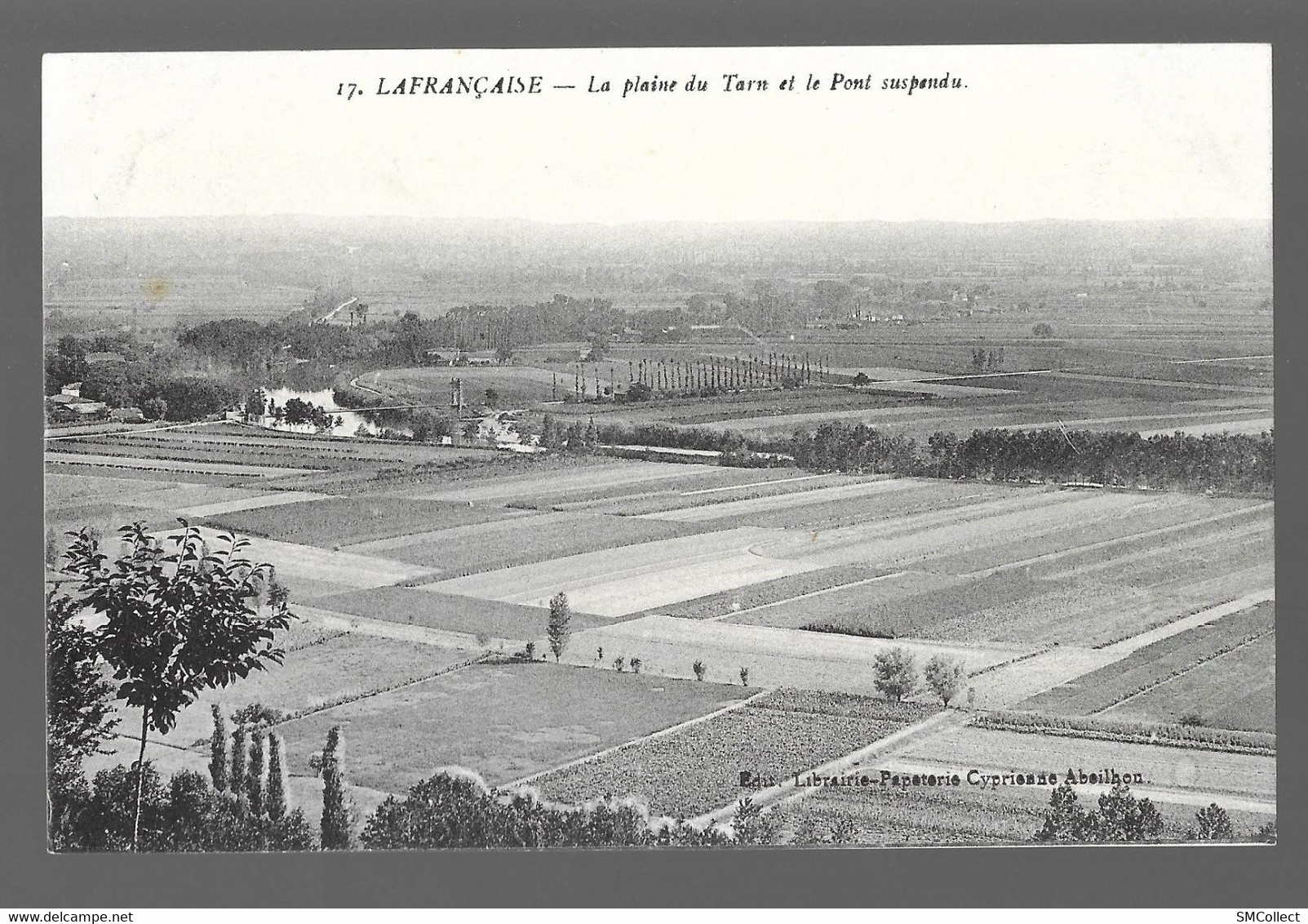 Lafrançaise, Plaine Du Tarn Et Pont Suspendu (12511) - Lafrancaise