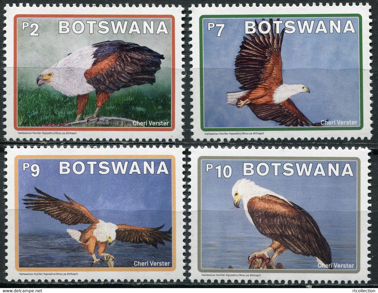 Botswana 2021 - Set Fish Eagle Bird Of Prey Eagles Birds Wildlife Wild Animals Animal Fauna Nature Stamps MNH - Botswana (1966-...)