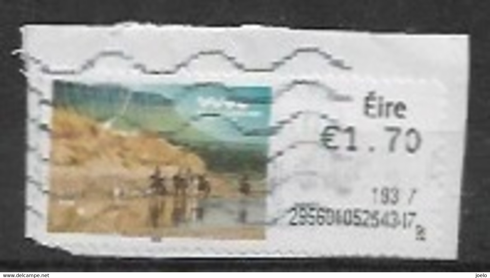 IRELAND 2018 FRANKING LABEL HORSE TREKKING - Vignettes D'affranchissement (Frama)