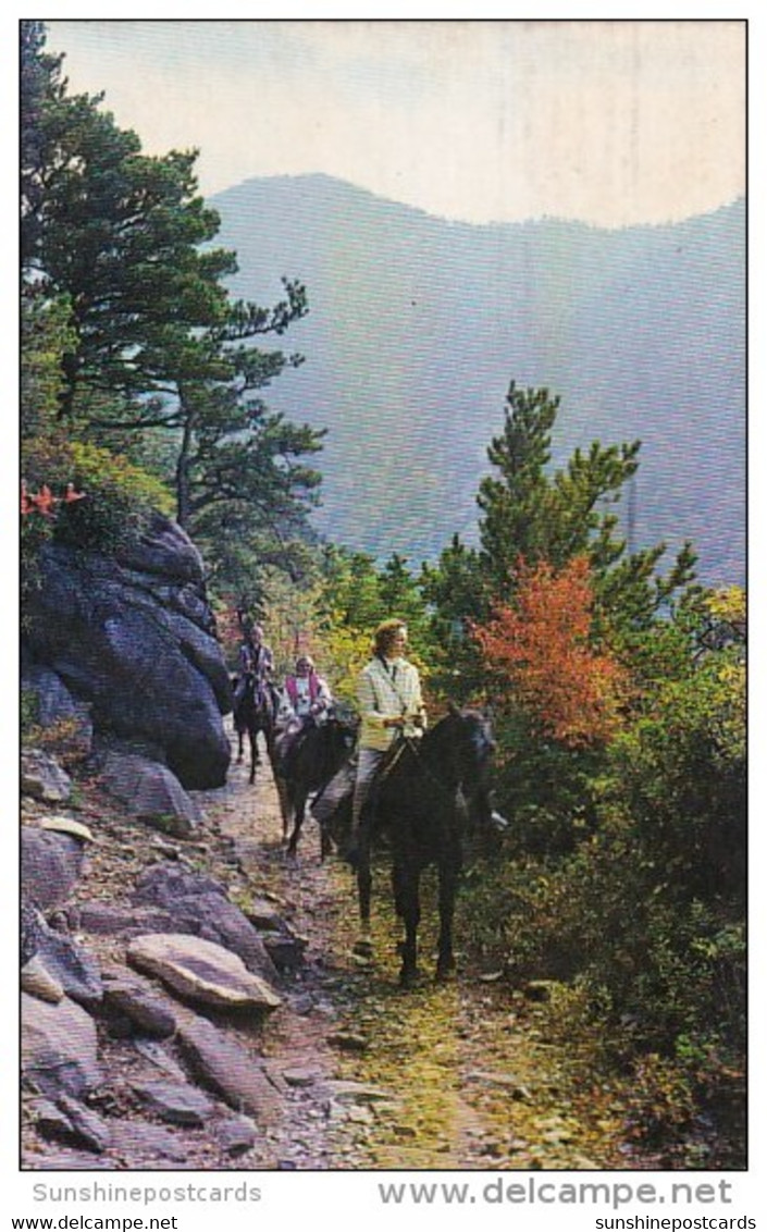 Horseback Riders On The Trail To Mount Leconte Great Smorky Mountains National Park Chattanooga Tennessee - Chattanooga