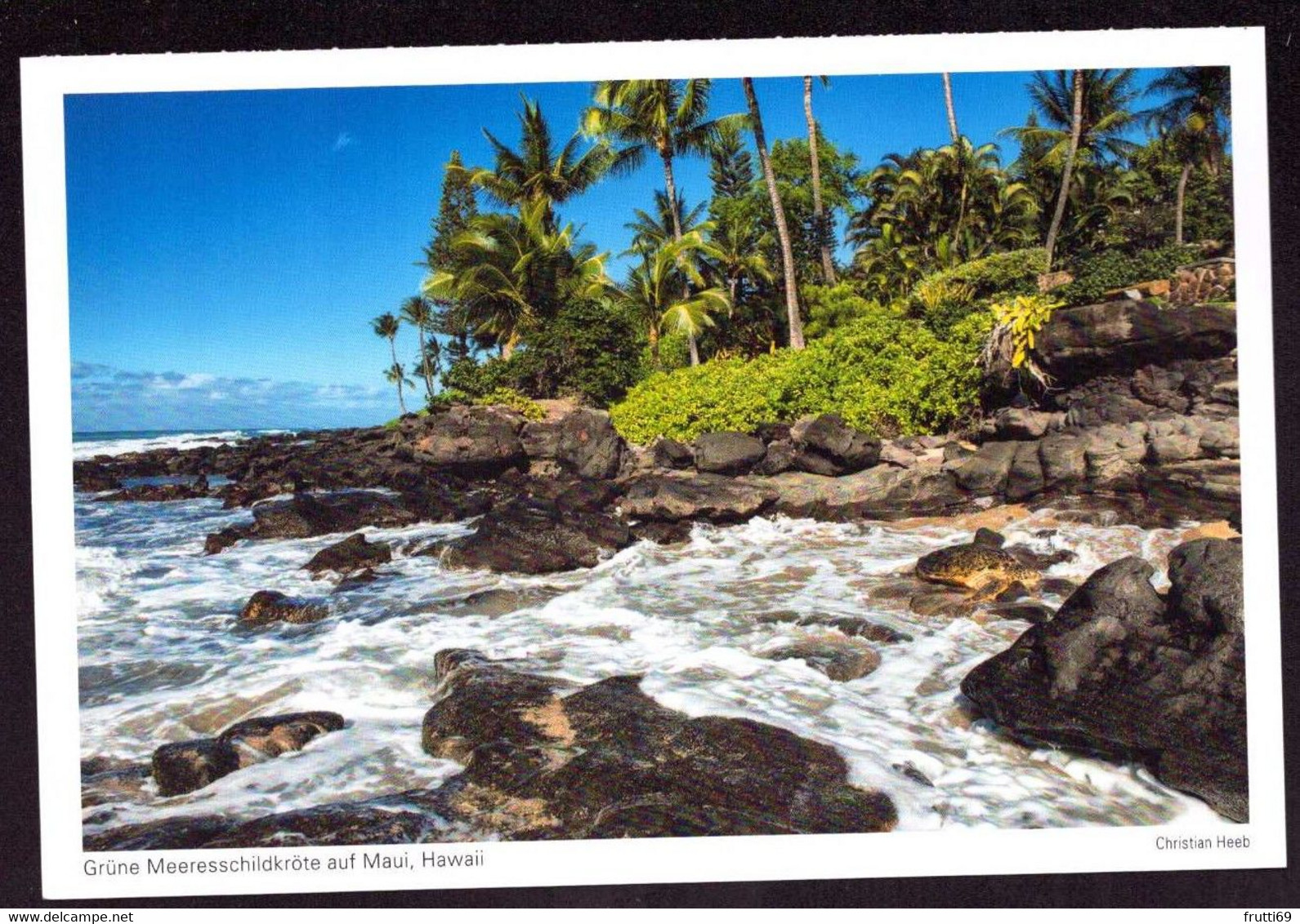 AK 000958 USA - Hawaii - Maui - Grüne Meeresschildkröte - Maui