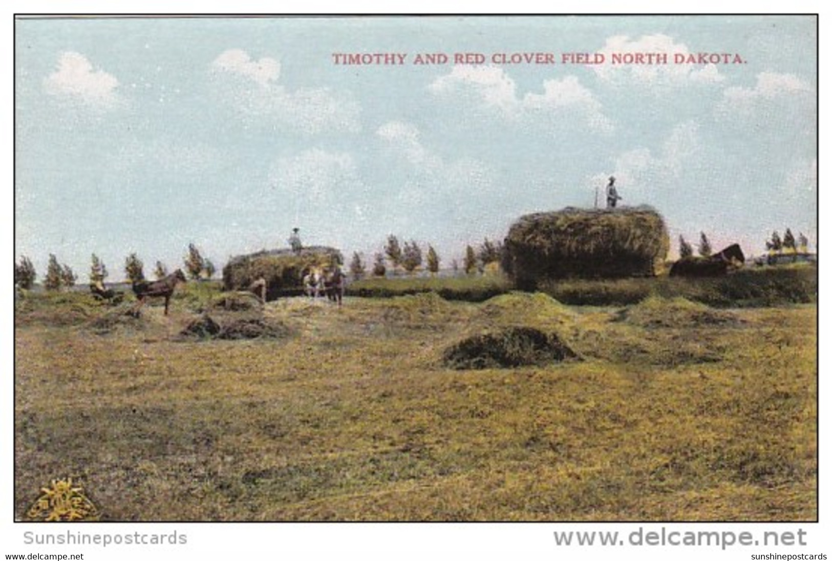 North Dakota Making Hay In Timothy And Red Clover Field - Otros & Sin Clasificación