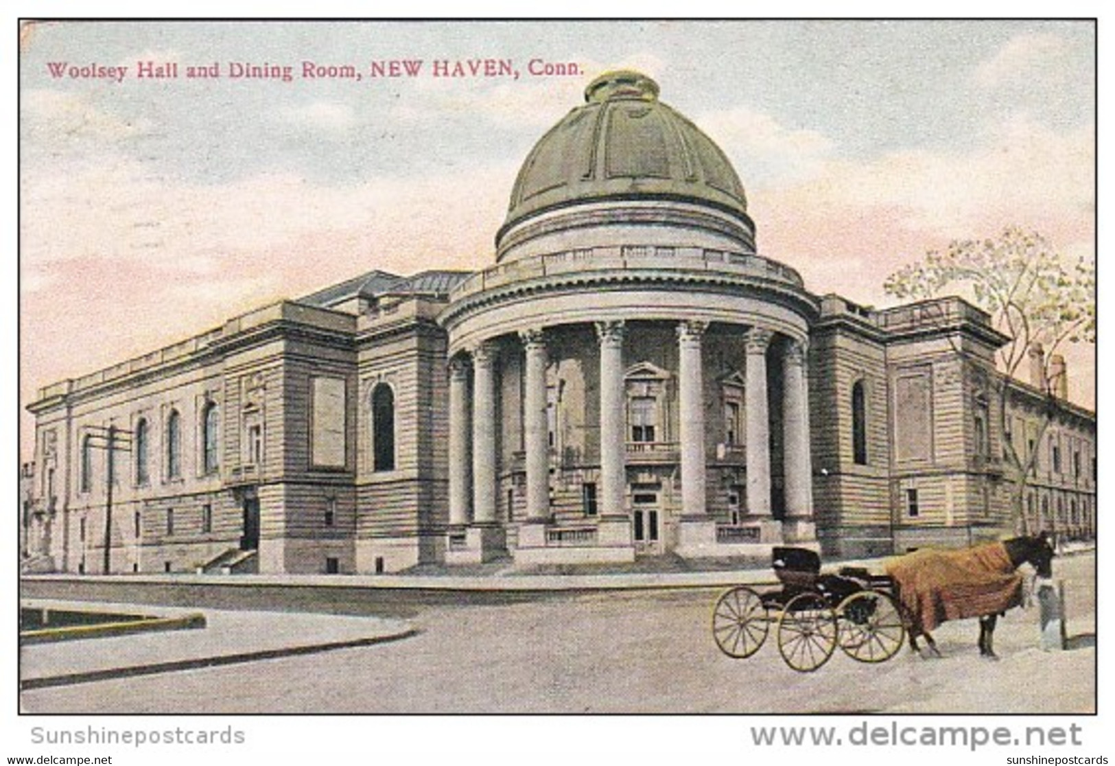 Connecticut New Haven Horse And Carriage At Woolsey Hall And Dining Room 1908 - New Haven