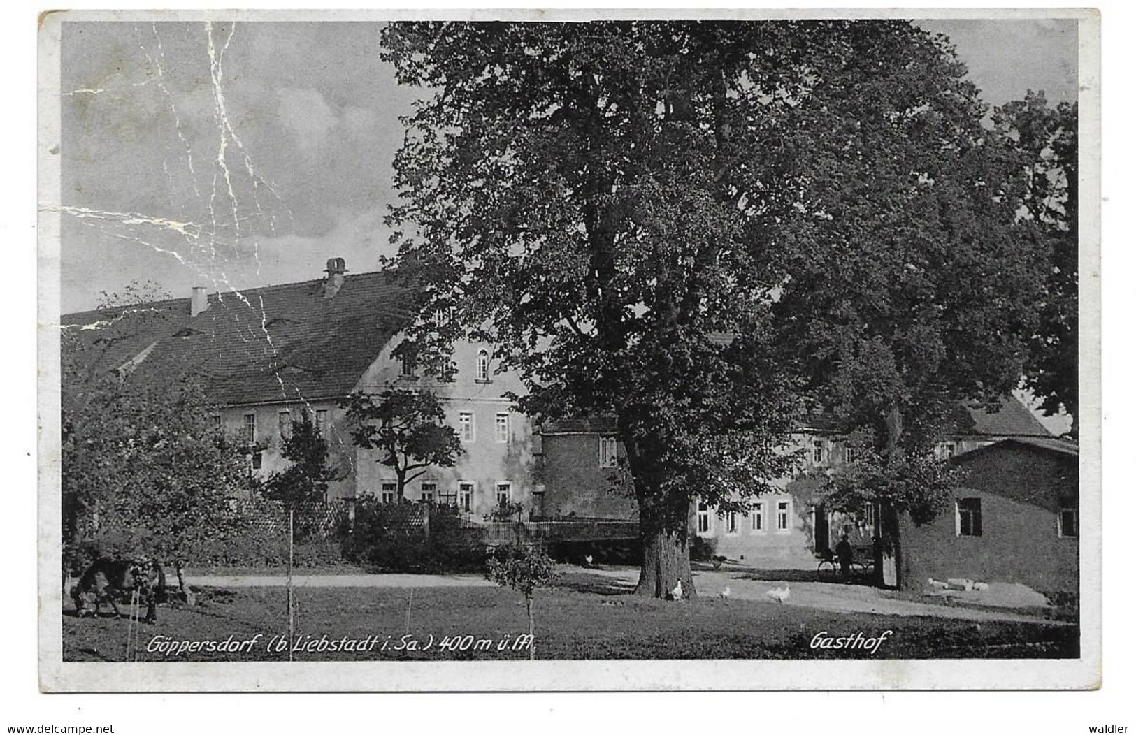 8301  GÖPPERSDORF B. LIEBSTADT - GASTHOF   ~ 1930 - Liebstadt