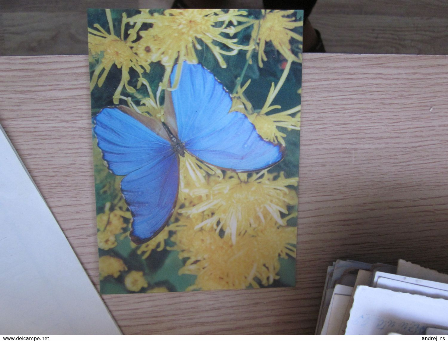 3 D Postcards Butterflies - Papillons