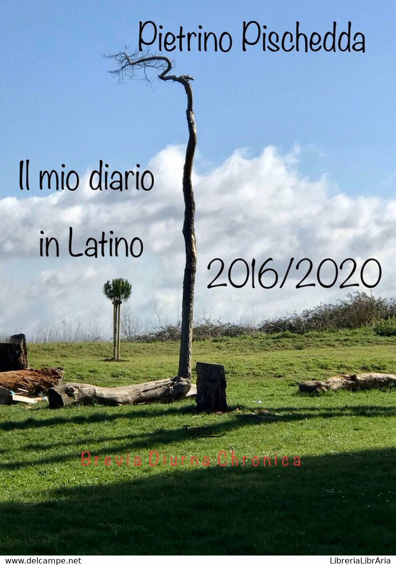 Il Mio Diario In Latino	 Di Pietrino Pischedda,  2021,  Youcanprint - Taalcursussen