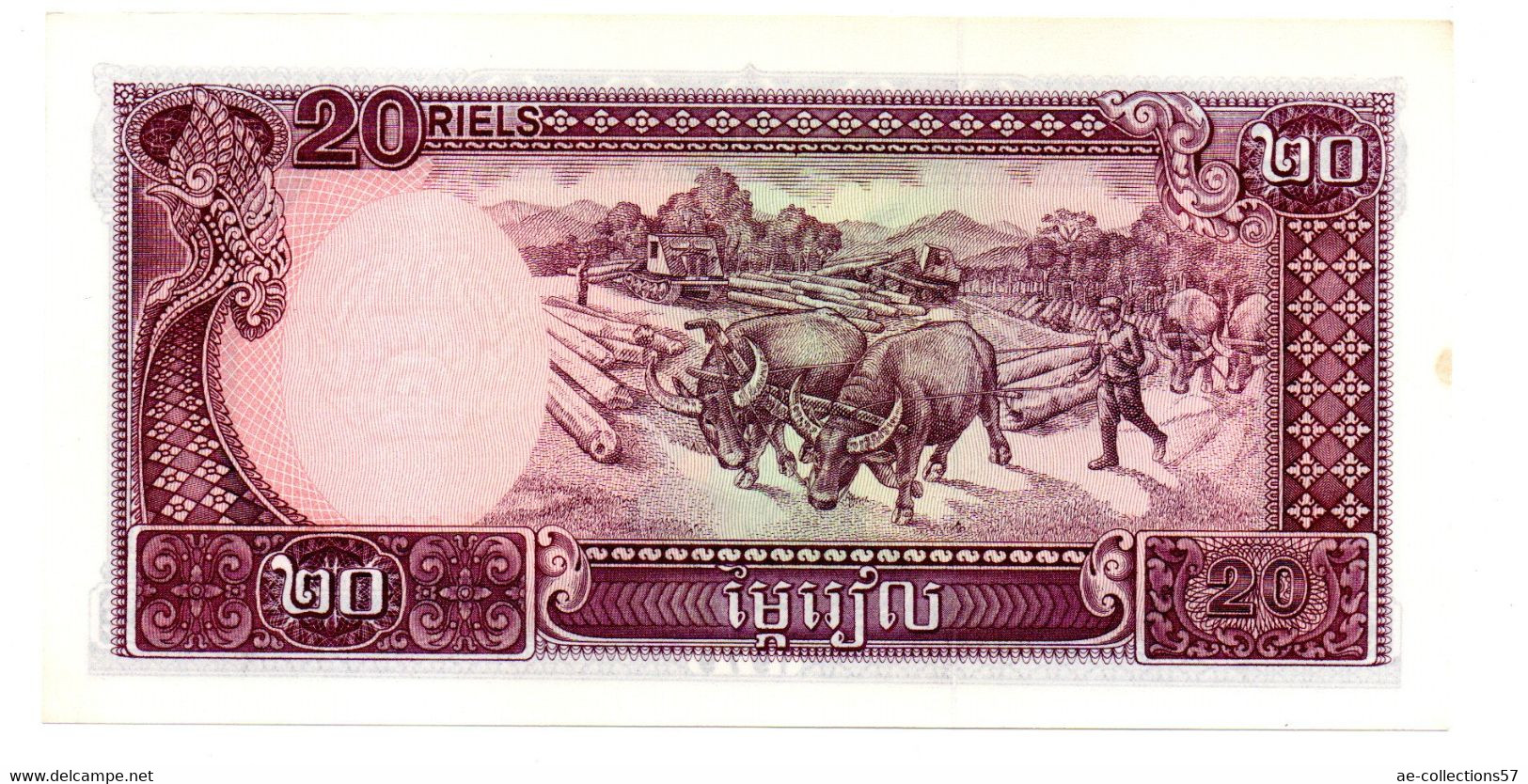 Cambodge  -  20 Riel 1979  - état  UNC - Cambodia