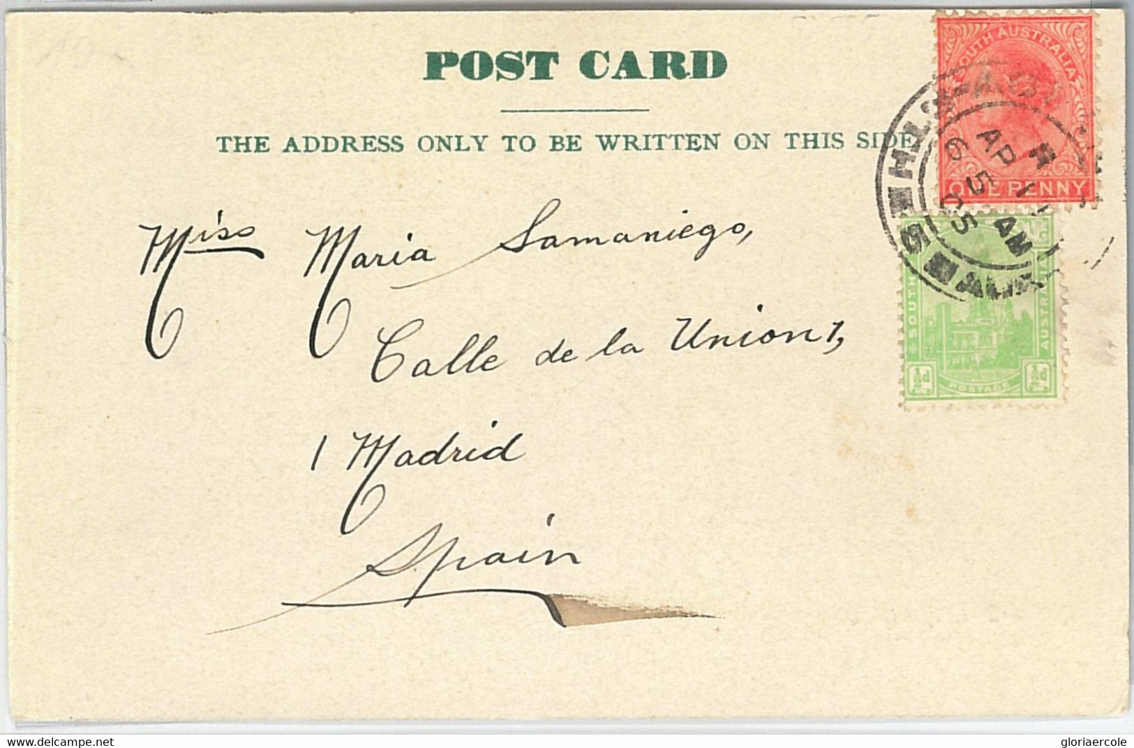 59464 - SOUTH  AUSTRALIA - POSTAL HISTORY:  POSTCARD From ADELAIDE To SPAIN 1905 - Lettres & Documents