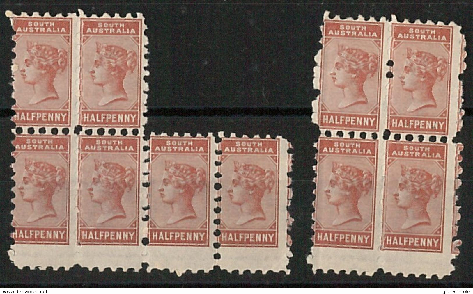 56838 - SOUTH AUSTRALIA - Stanley Gibbons # 182  MNH X 10 With PERFORATION ERROR - Nuovi