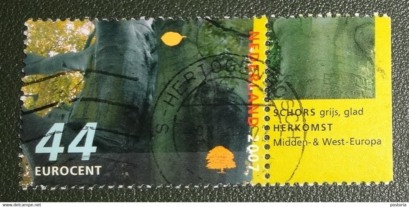 Nederland - NVPH - 2521 - 2007 - Gebruikt - Cancelled - Bomen Herfst - Tab Schors - Herkomst - Usati