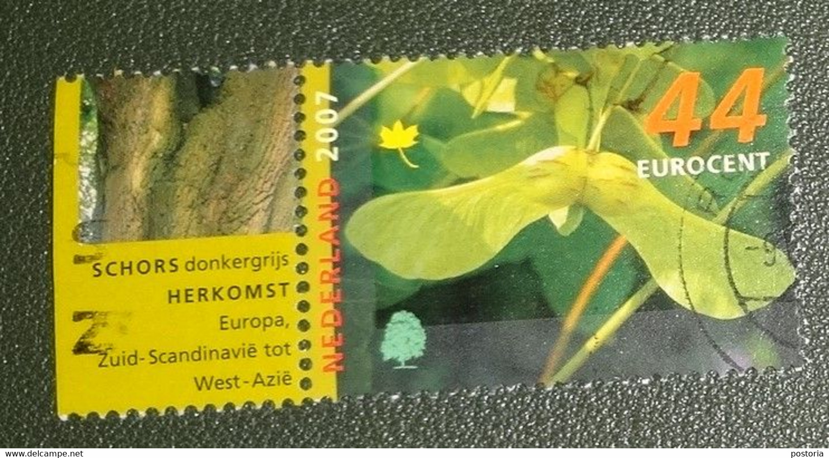 Nederland - NVPH - 2520 - 2007 - Gebruikt - Cancelled - Bomen Herfst - Tab Schors - Usati