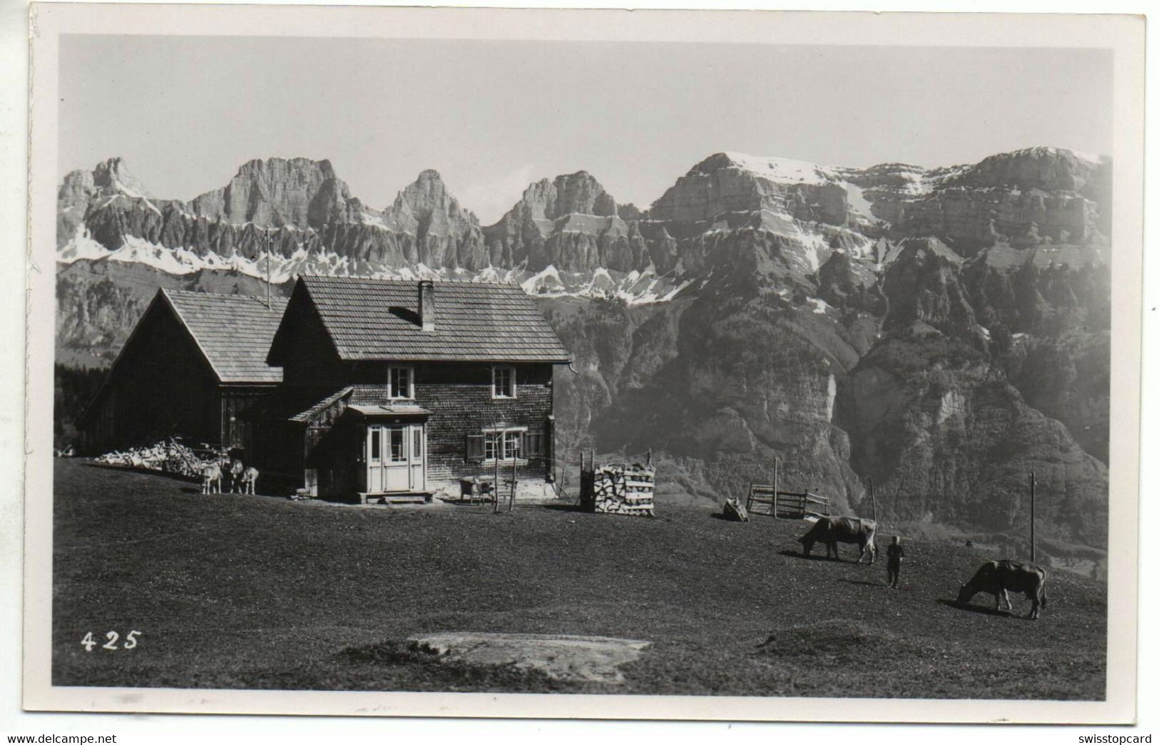 FLUMS Bauer Mit Kühen Auf Der Alp Photo E. Widmer Walenstadt - Walenstadt