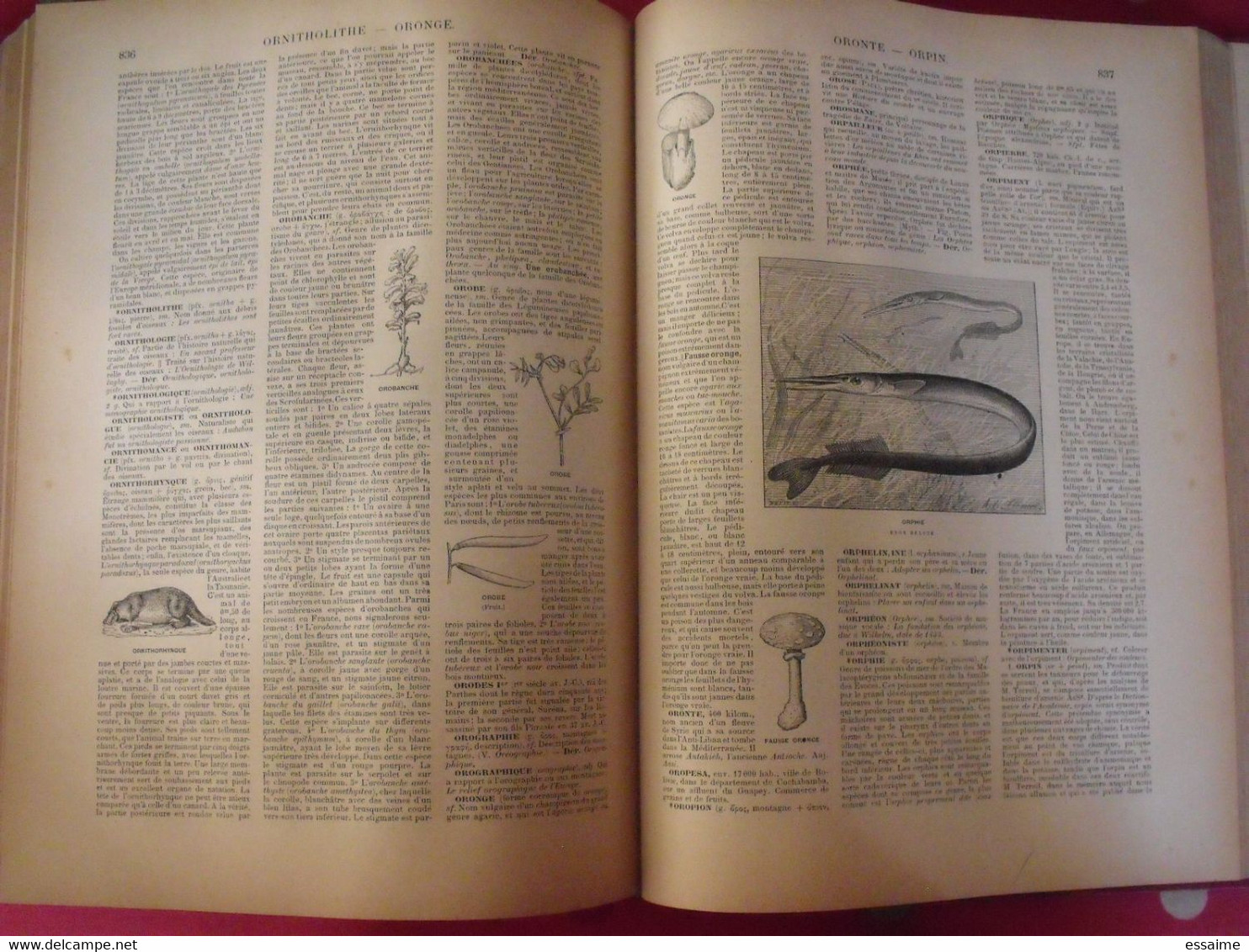 dictionnaire français illustré des mots et des choses. Larive & Fleury. 1904. en 3 tomes